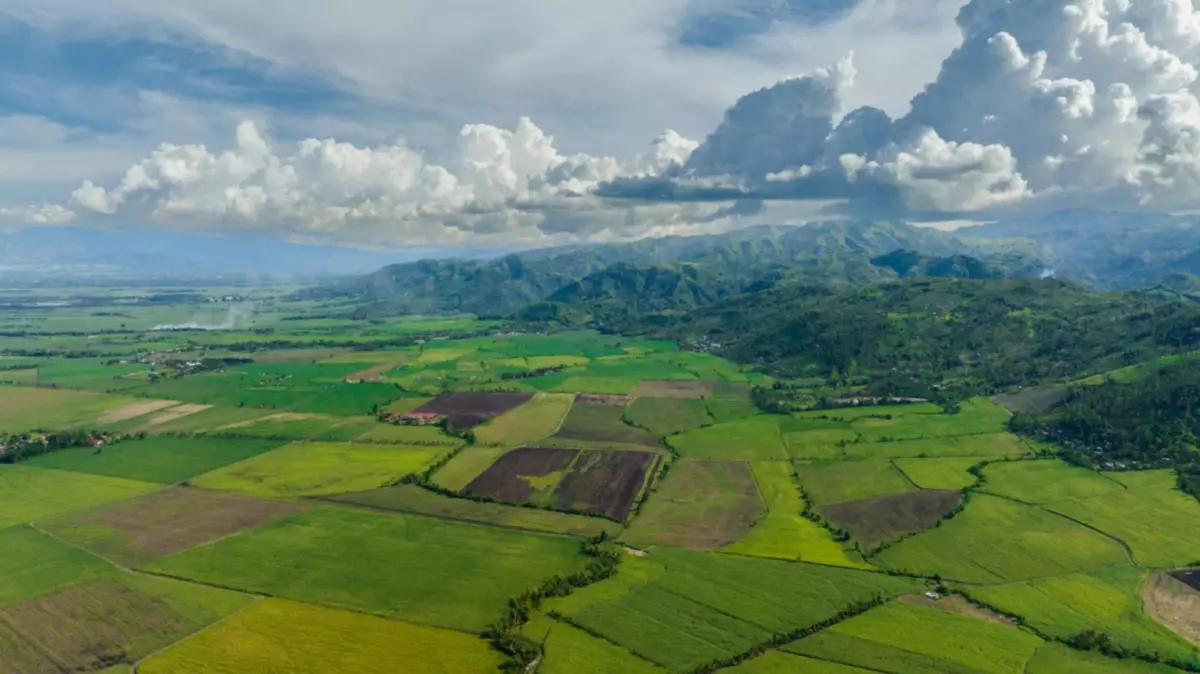 Murcia Lot Only For Sale - photo 2