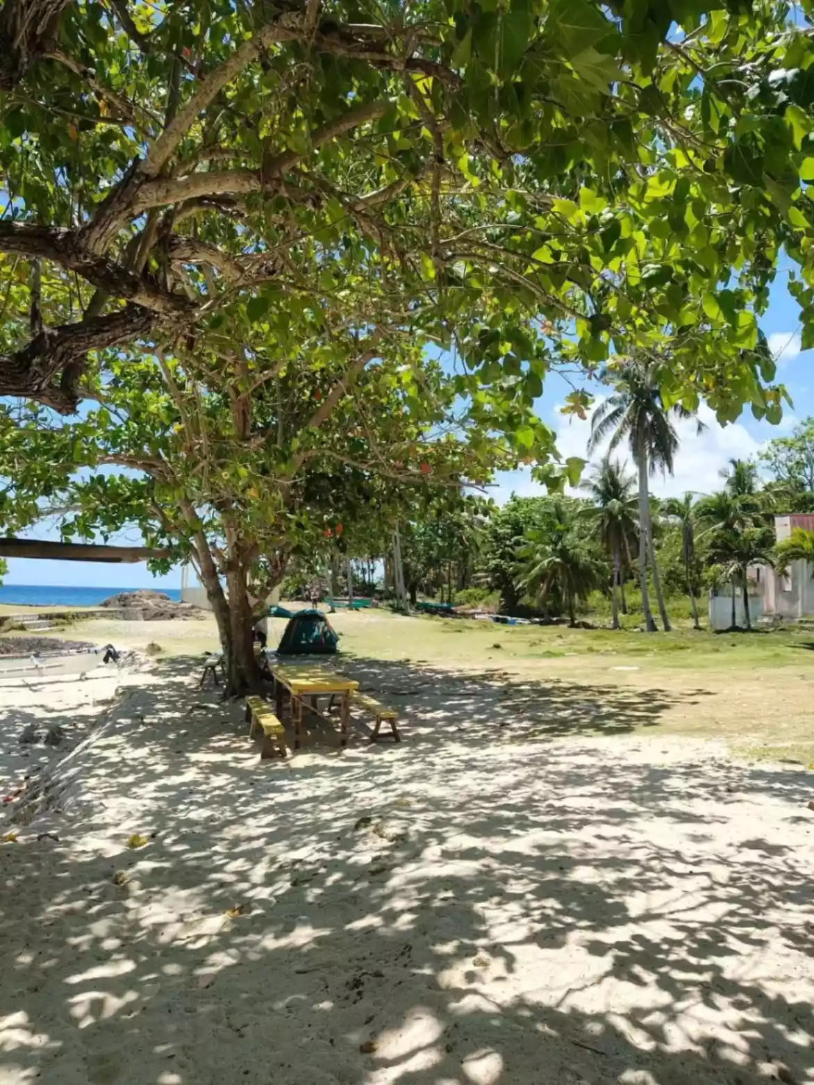 BEACH LOT FOR SALE IN ANDA BOHOL, PHILIPPINES - photo 2