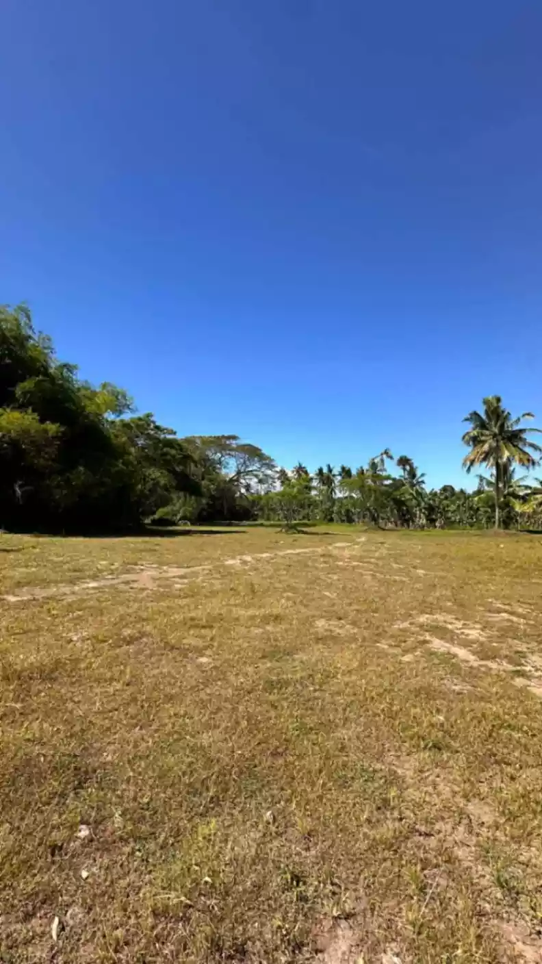 Residential Lot For Sale In Balugo, Dumaguete City - photo 3