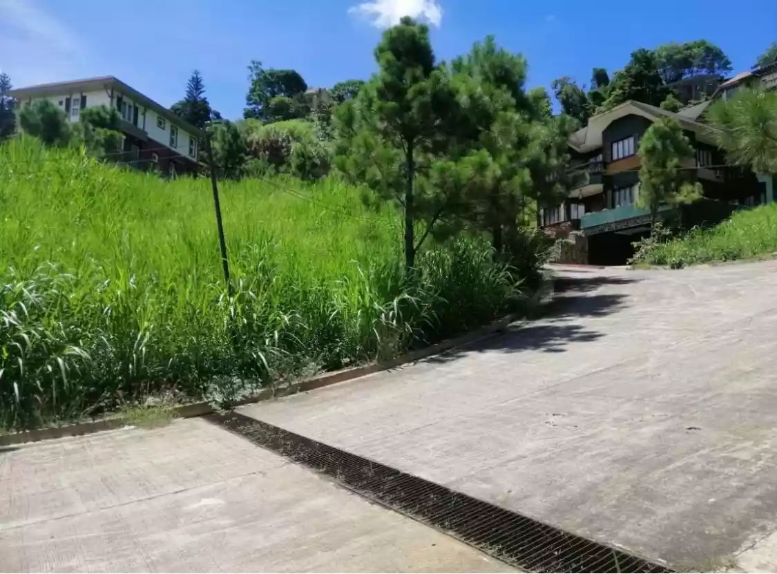 LOW PRICE PRIME CORNER RESIDENTIAL LOT INSIDE CROSSWINDS TAGAYTAY - photo 5