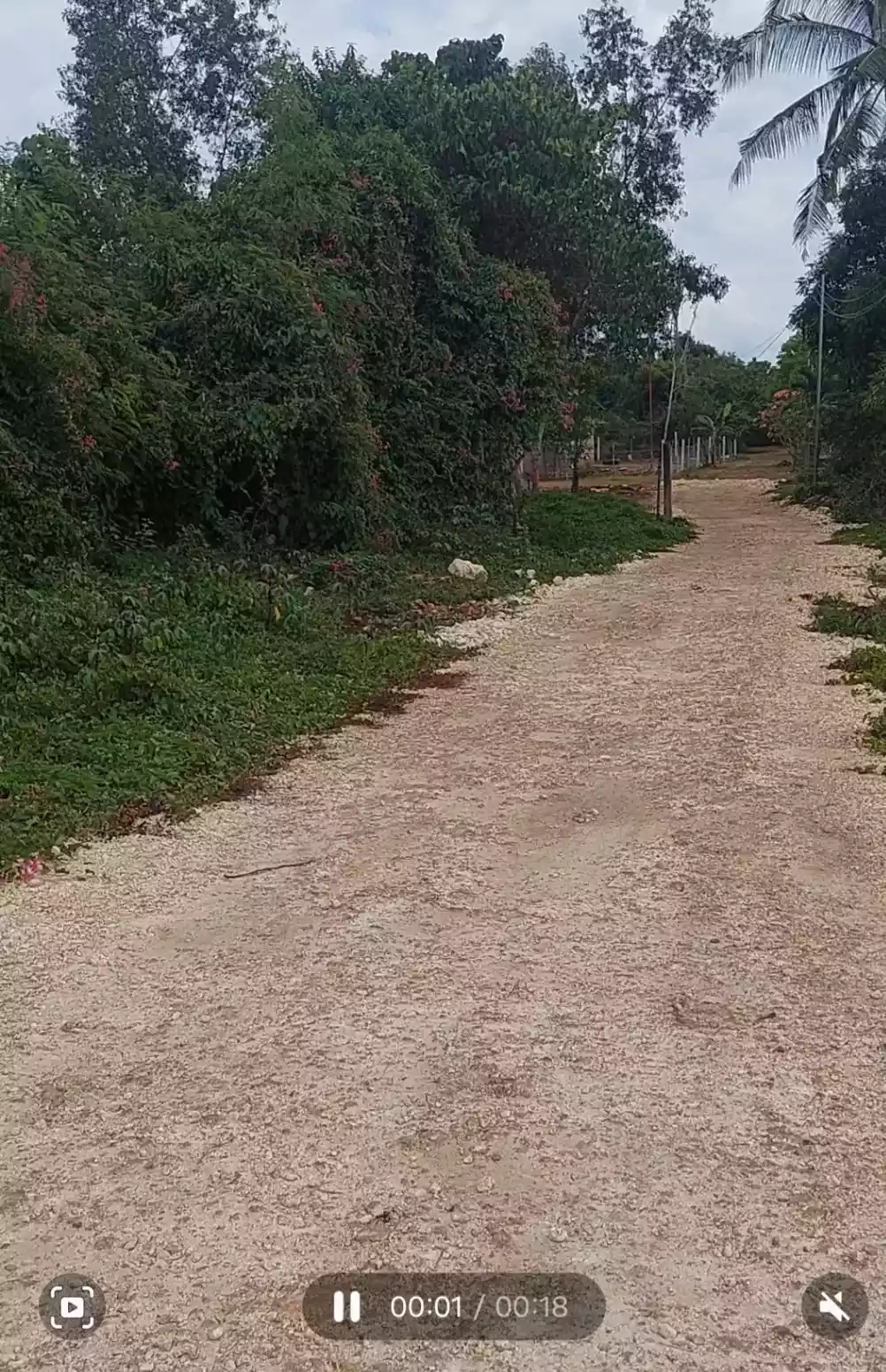 Lot for Sale - photo 5