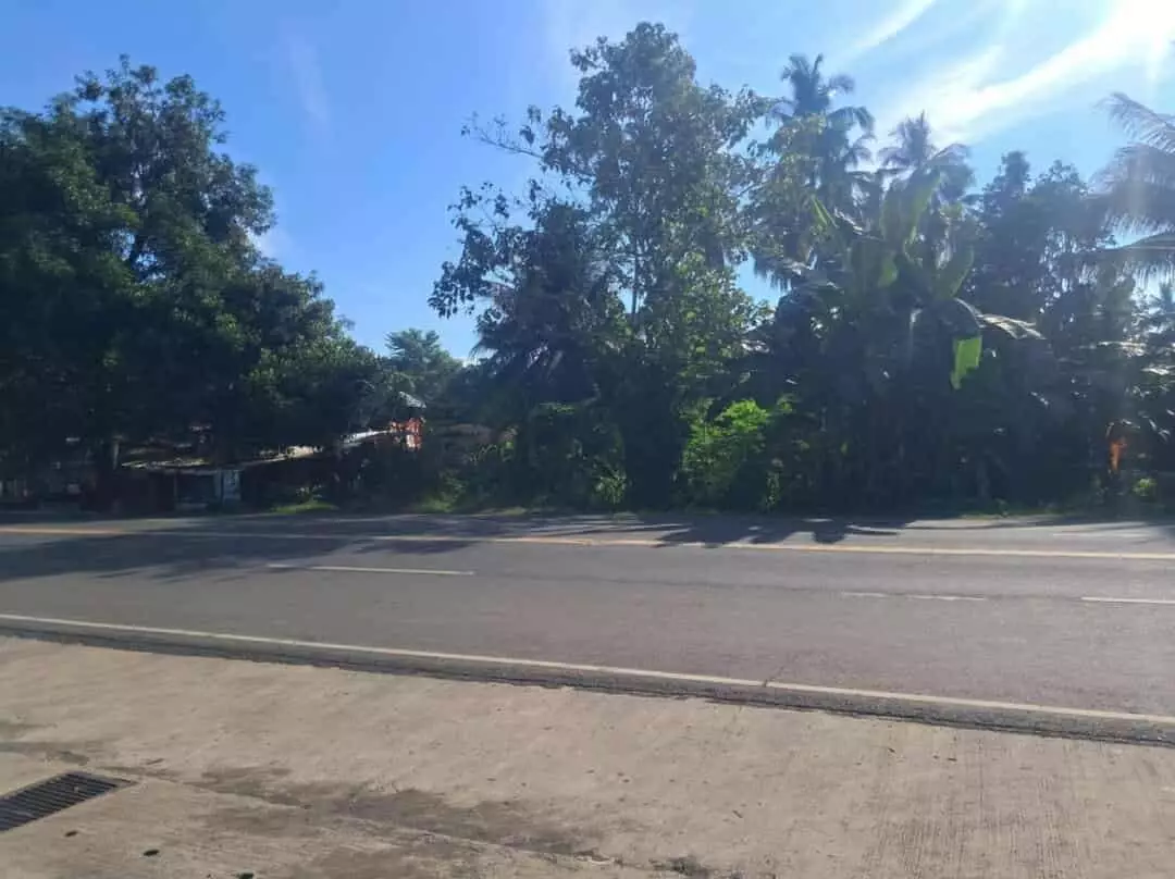 Titled Commercial Lot - photo 4