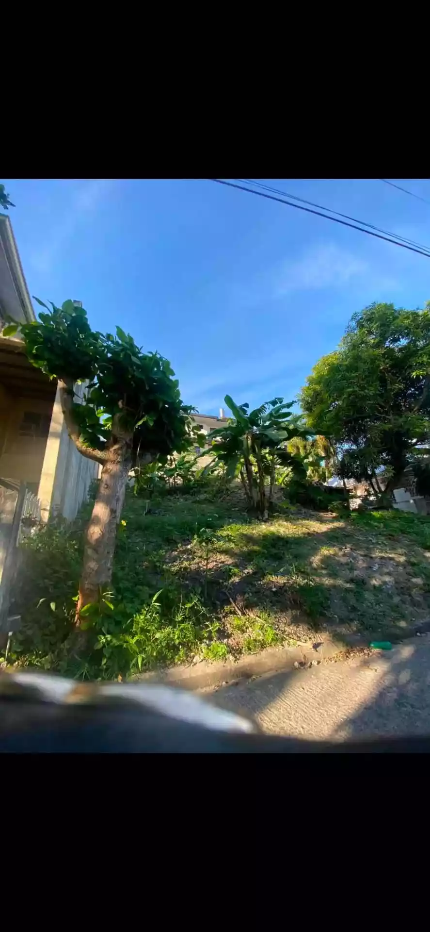 WHITE HILLS BANAWA LOT FOR SALE - photo 2