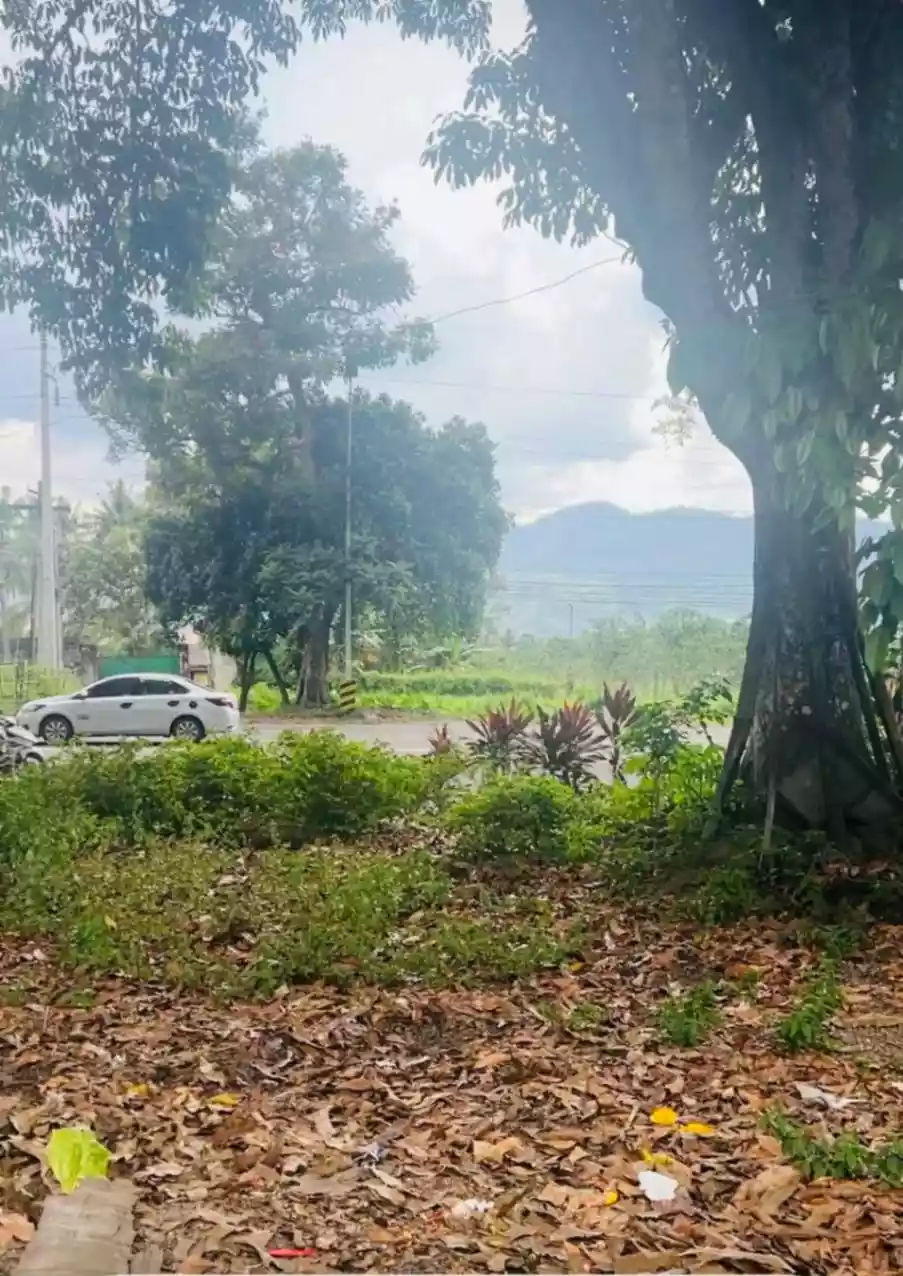 For Sale: Commercial Lot in Tupi South Cotabato – Along National Highway - photo 2