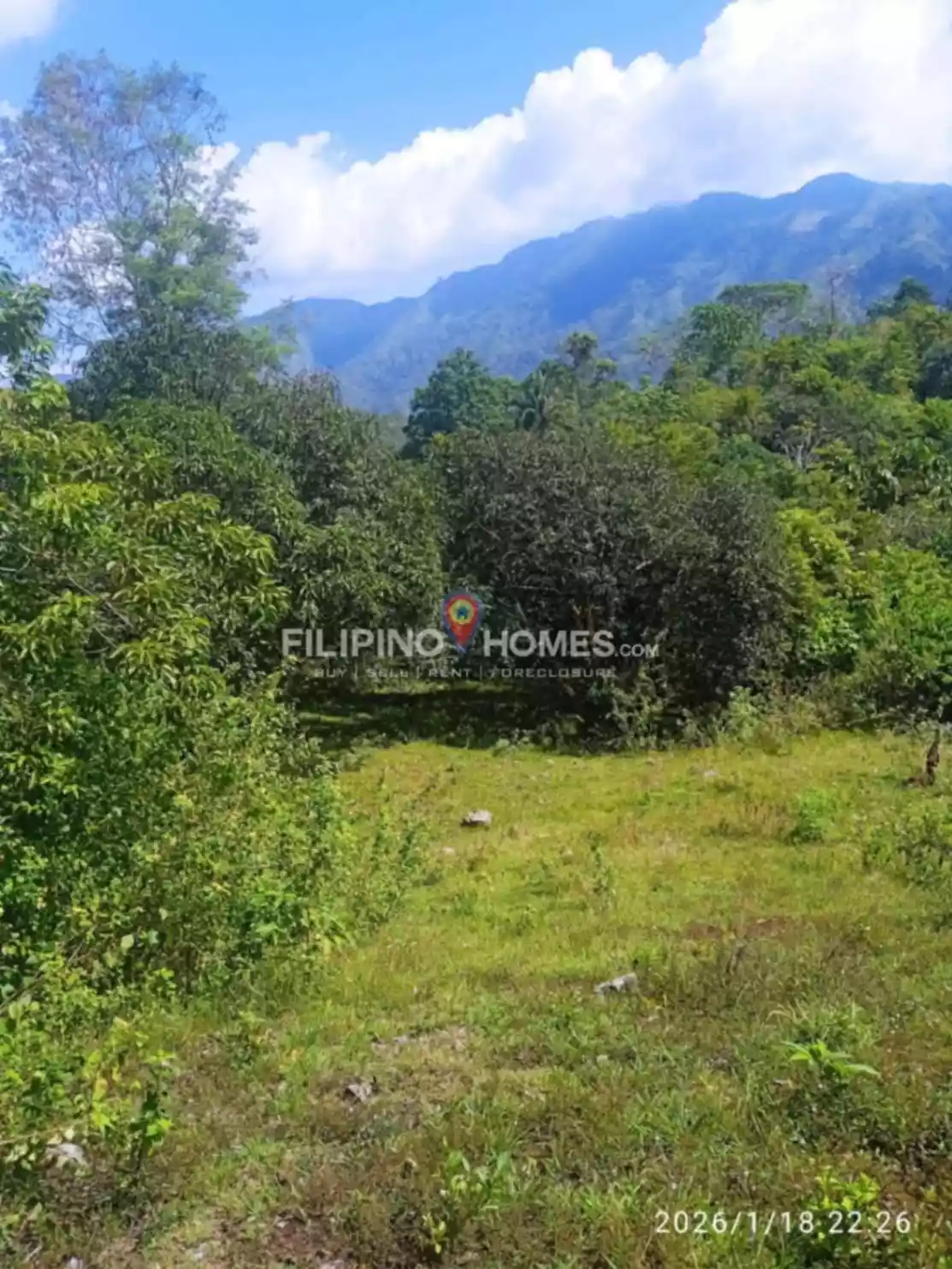 Affordable Farm Lot - photo 4