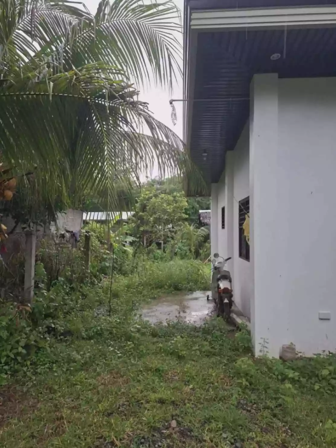 For Rent: House and Lot in Linabo, El Salvador – Spacious Lot, Quiet Area - photo 6