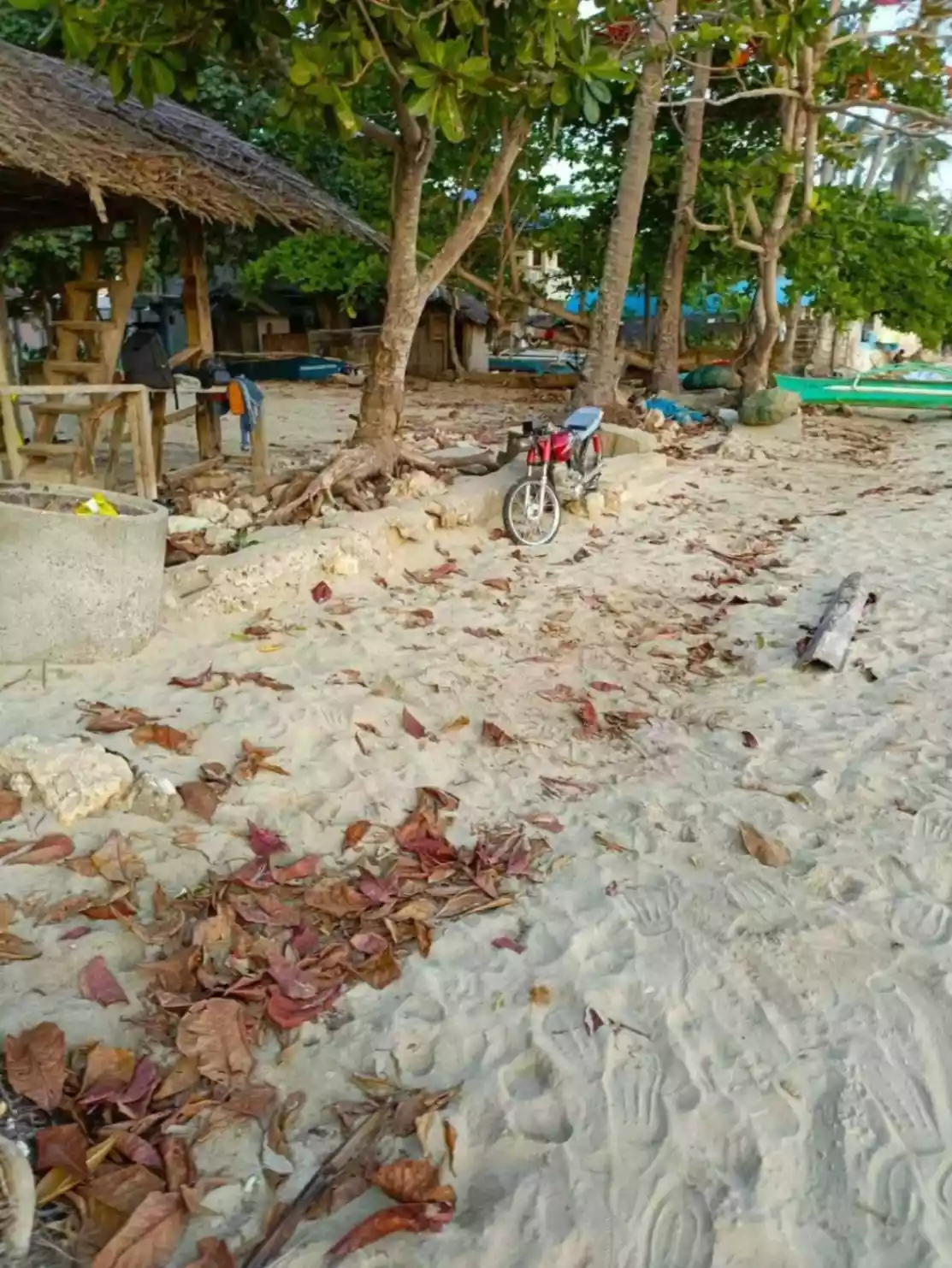 LOT FOR SALE IN PANGLAO BOHOL, PHILIPPINES - photo 5