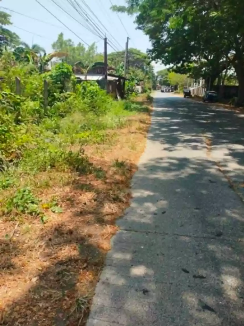 Commercial /Residential lot in Puerto Princesa City Palawan, Philippines - photo 6