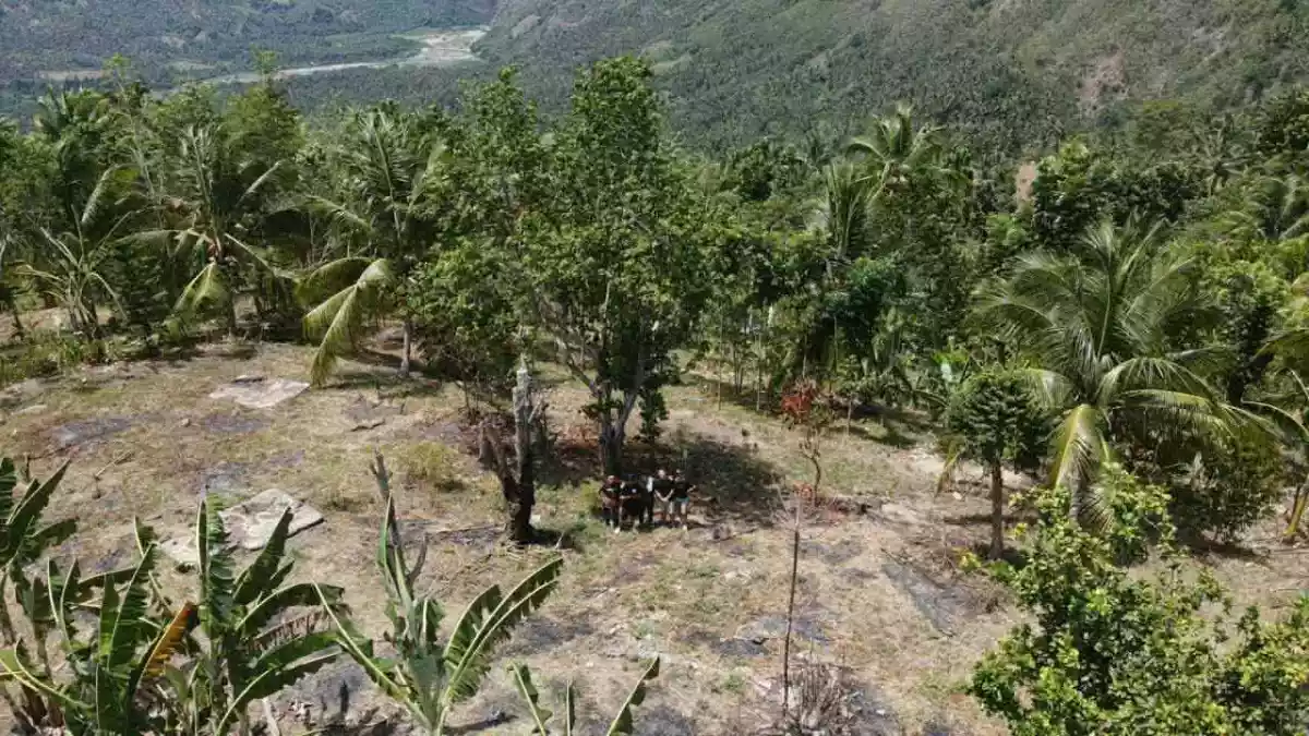 For Sale: Agricultural Lot in Bagacay, Alabel — 37292 sqm — Agricultural Lot in Alabel, Sarangani Province, Bagacay — Photo 2