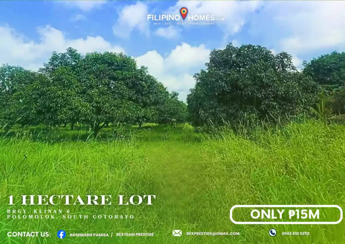 For Sale: 1 Hectare Agricultural Lot in Klinan 6, Polomolok South Cotabato - photo 6
