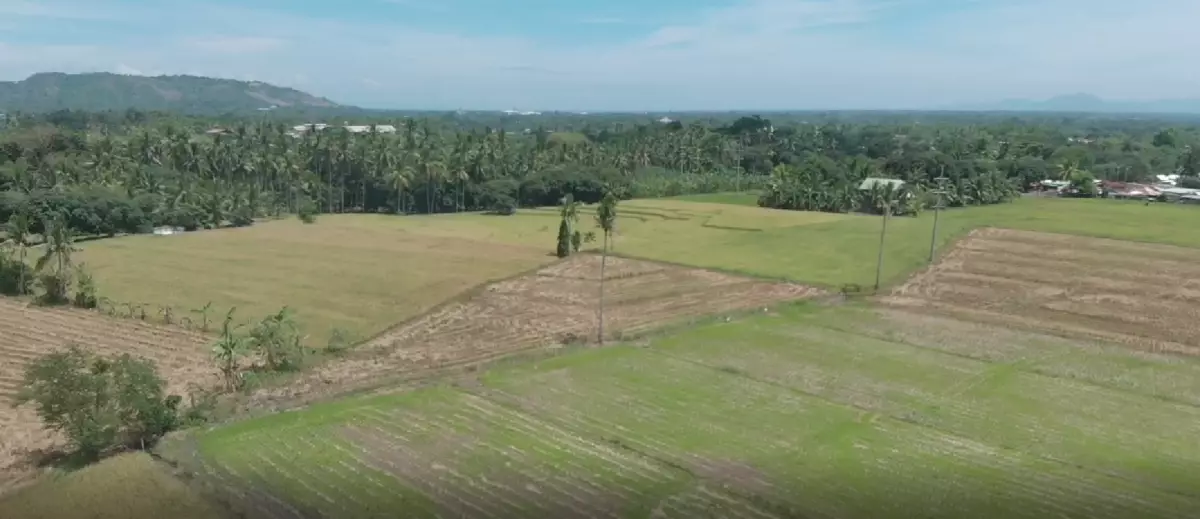 4 Hectares Prime Land in Digos – Along Road | Ideal for Farming or Future Development
