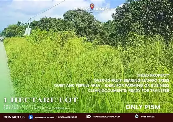 For Sale: 1 Hectare Agricultural Lot in Klinan 6, Polomolok South Cotabato - photo 2