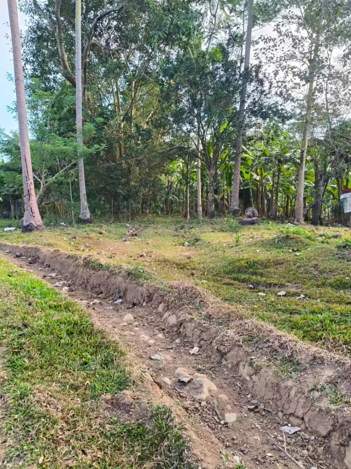 Farm Land for SALE! - photo 6