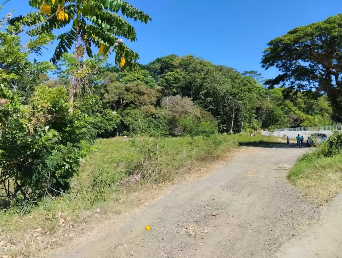 For Sale: Agricultural Lot in Linabo, Malaybalay City — 10000 sqm — Agricultural Lot in Malaybalay, Bukidnon, 8700 — Photo 2