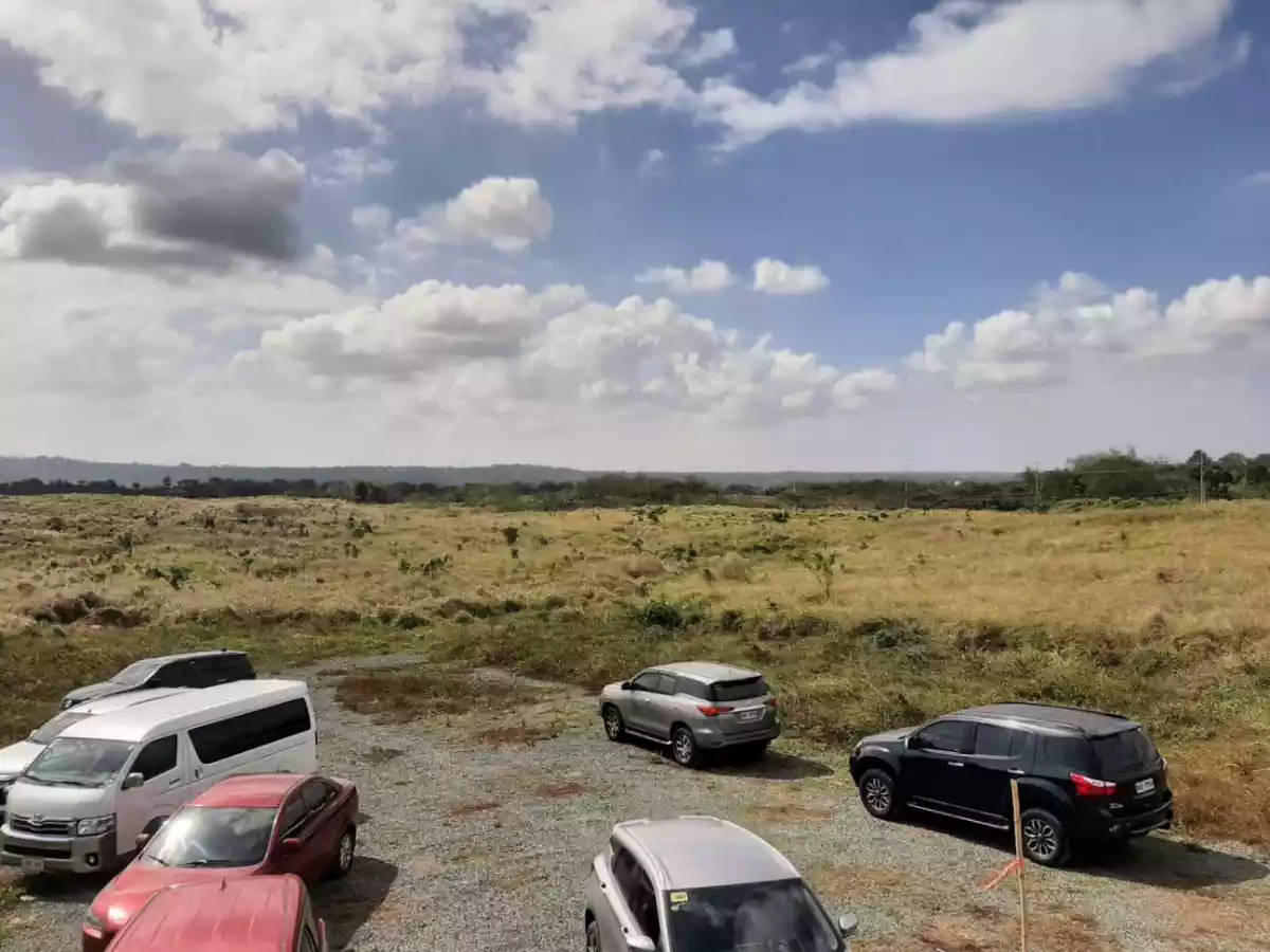 NICE LOCATION 150SQM RESIDENTIAL LOT IN PALAWAN OVERLOOKING HONDA BAY - photo 6