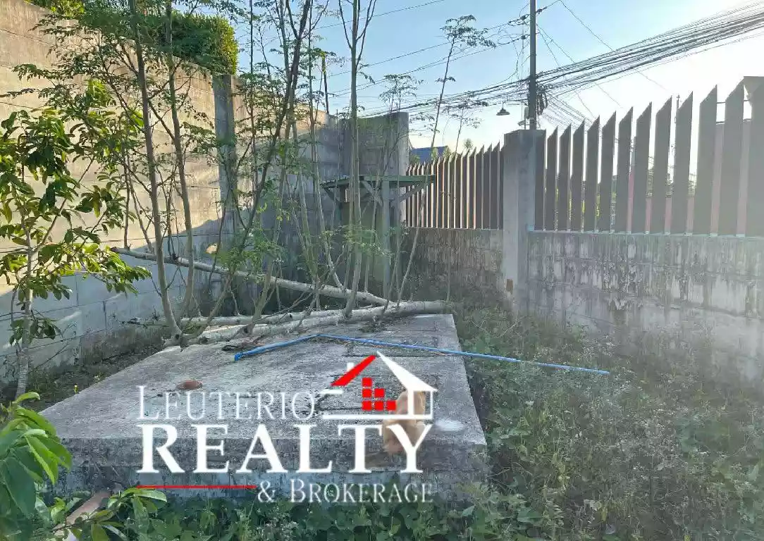 Residential Lot Coke Ville San Felipe - photo 3