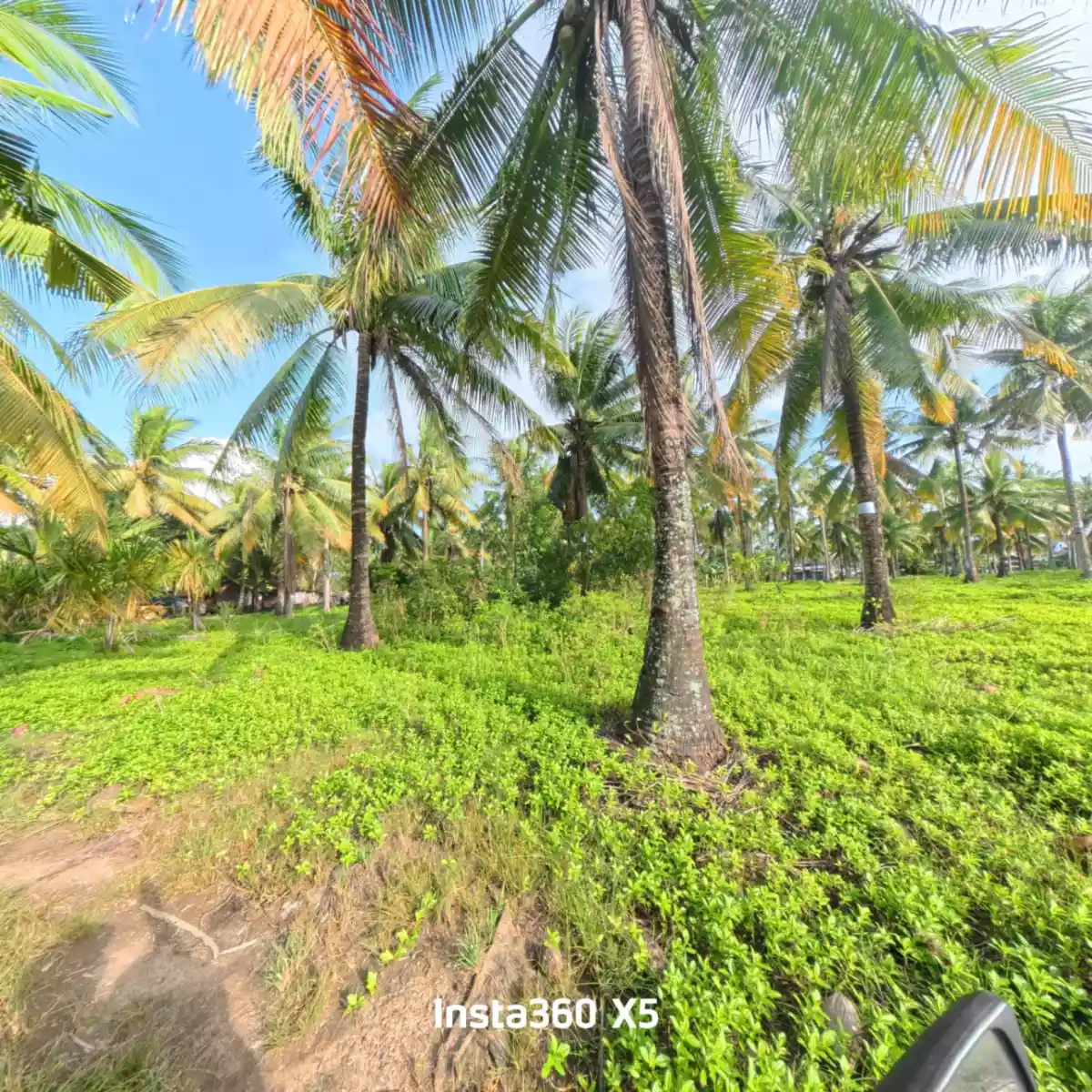 LOT 520 for Sale - photo 7