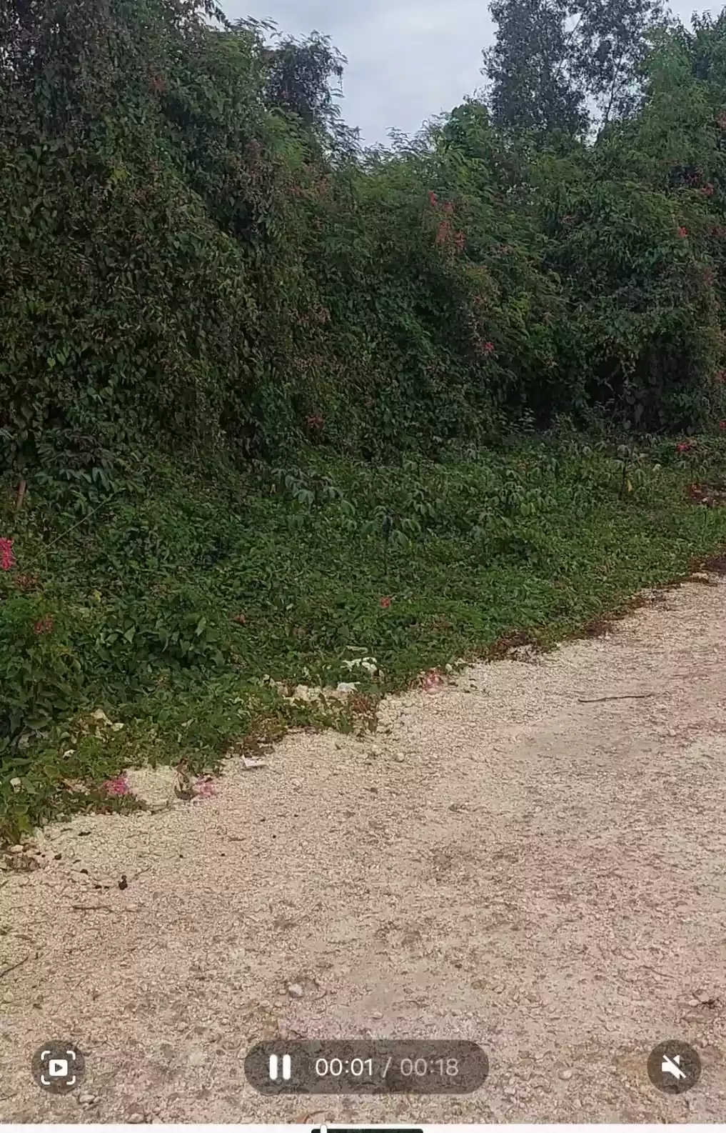 Lot for Sale - photo 4