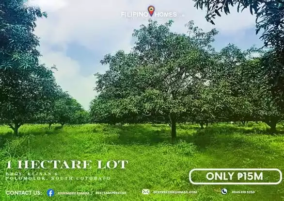 For Sale: 1 Hectare Agricultural Lot in Klinan 6, Polomolok South Cotabato - photo 4