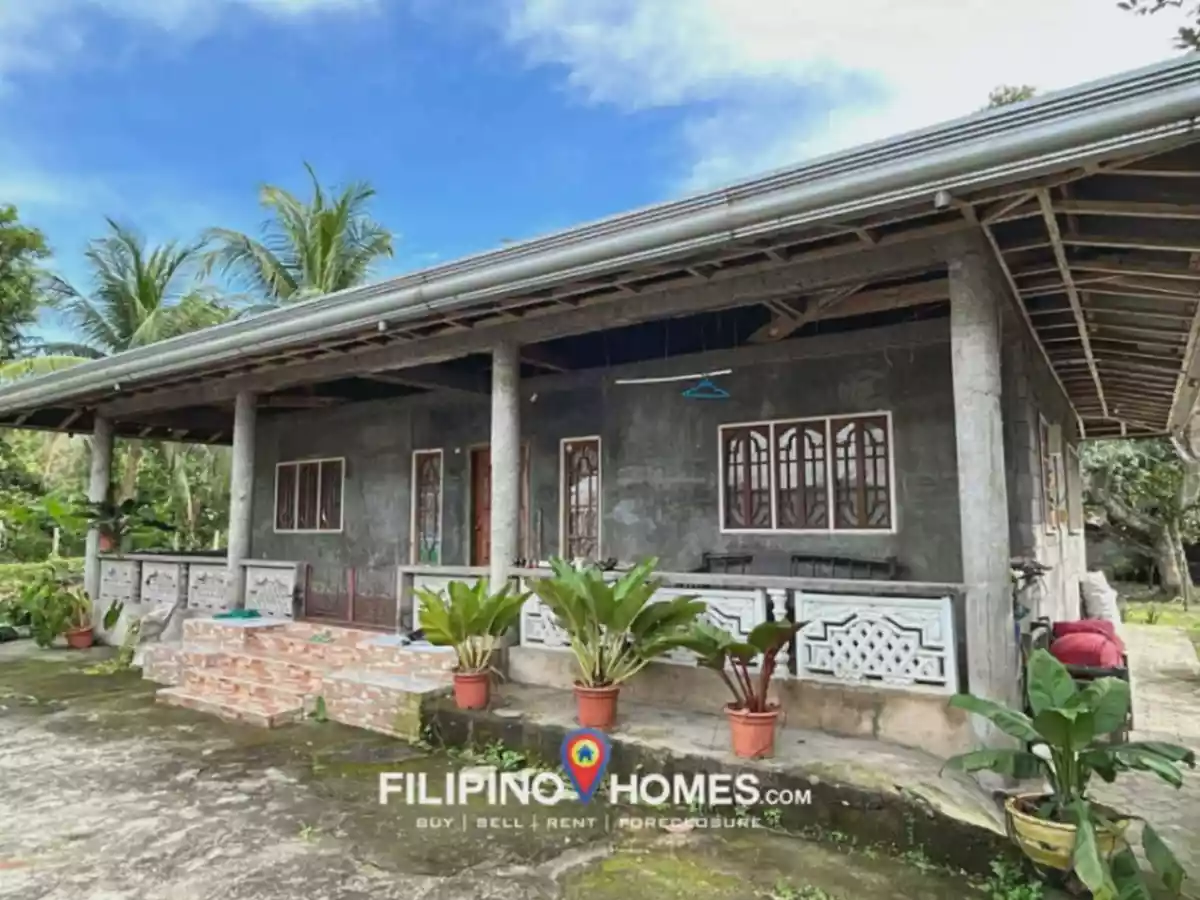 For Sale: 3BR House and Lot in Balogo, Pigcawayan – Spacious Lot - photo 2