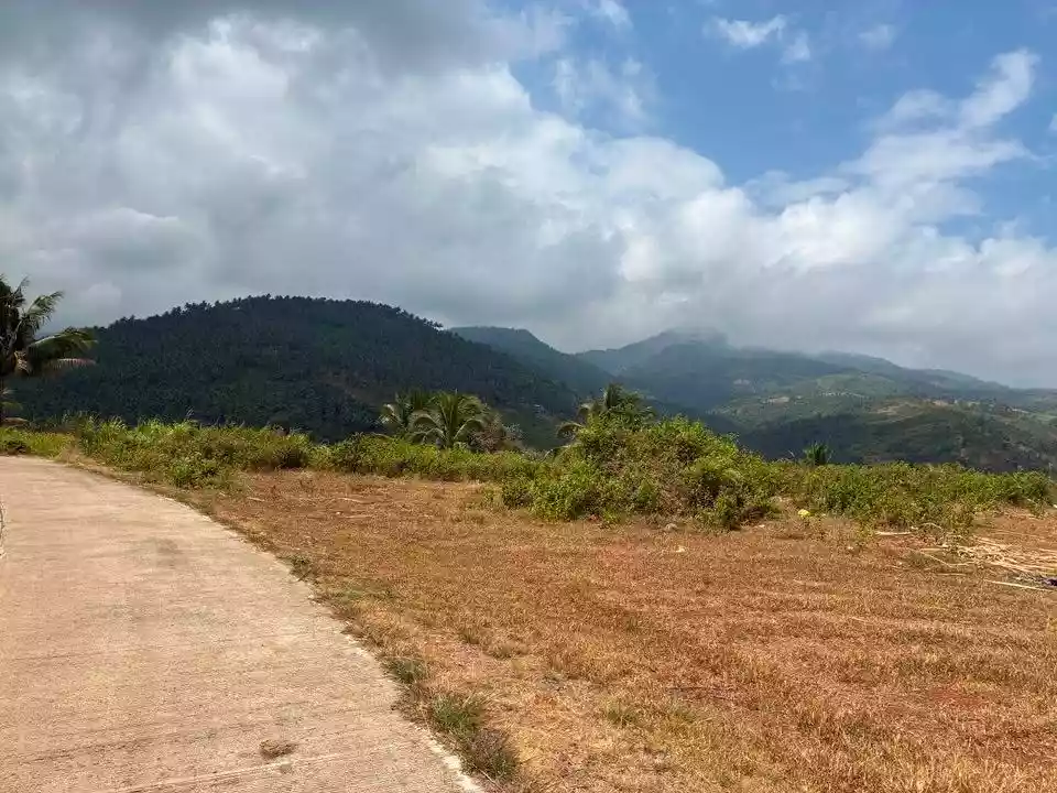 For Sale: 7,500sqm Lot in Jantianon, Amlan Negros Oriental Dumaguete – Seaview and Mountain Views
