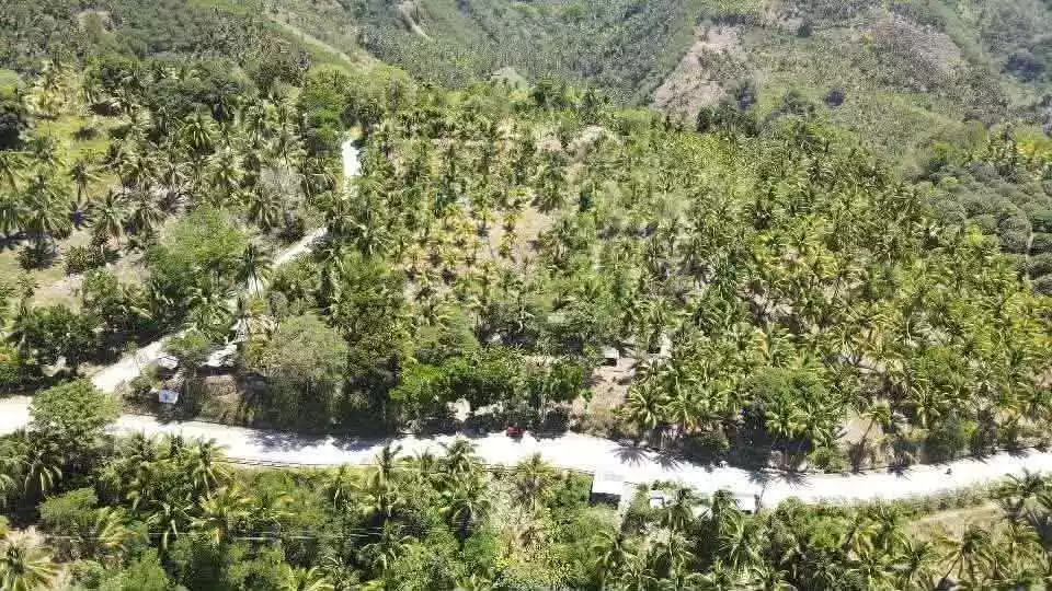 For Sale: Agricultural Lot in Bagacay, Alabel — 37292 sqm — Agricultural Lot in Alabel, Sarangani Province, Bagacay — Photo 5