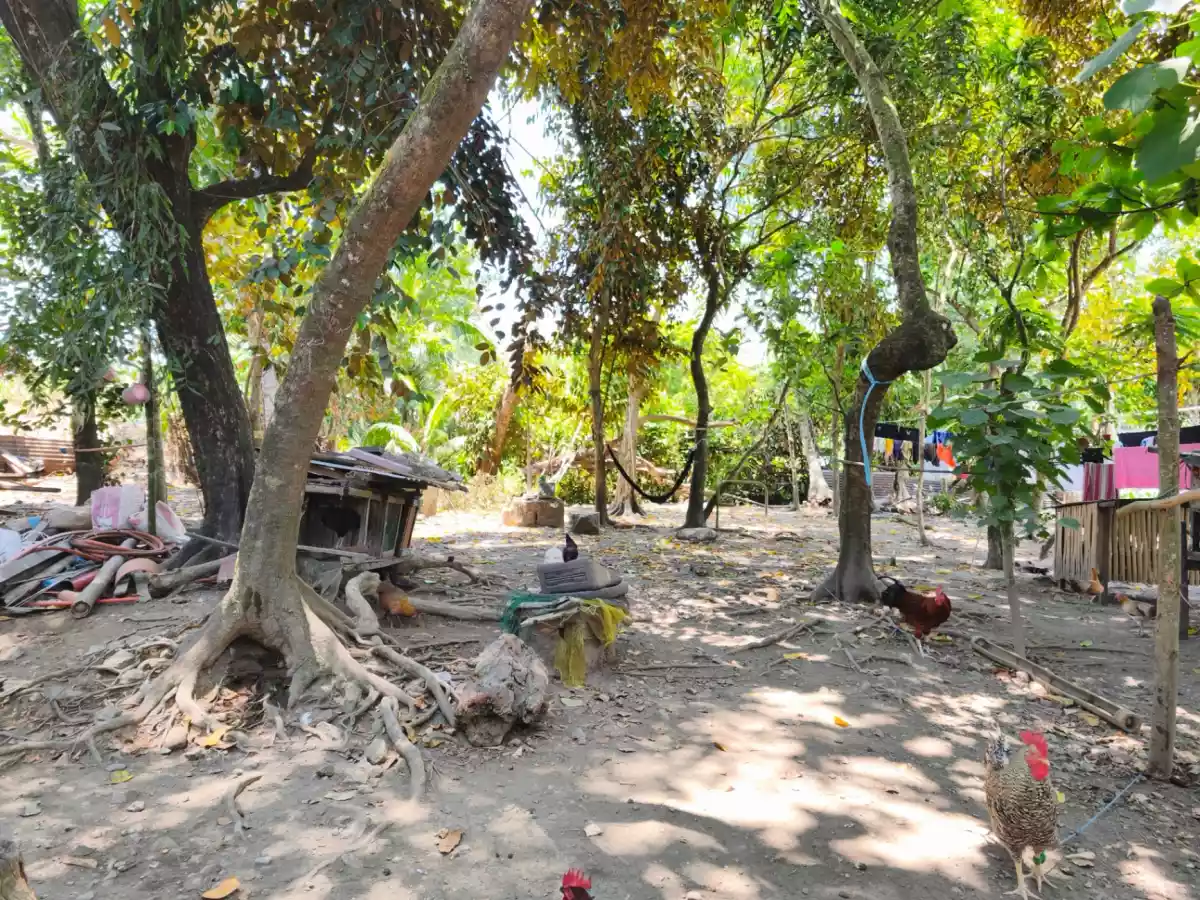 CORNER LOT FOR SALE (ALONG HIGHWAY) — Agricultural Lot in Guindapunan, Palo, Leyte — Photo 2