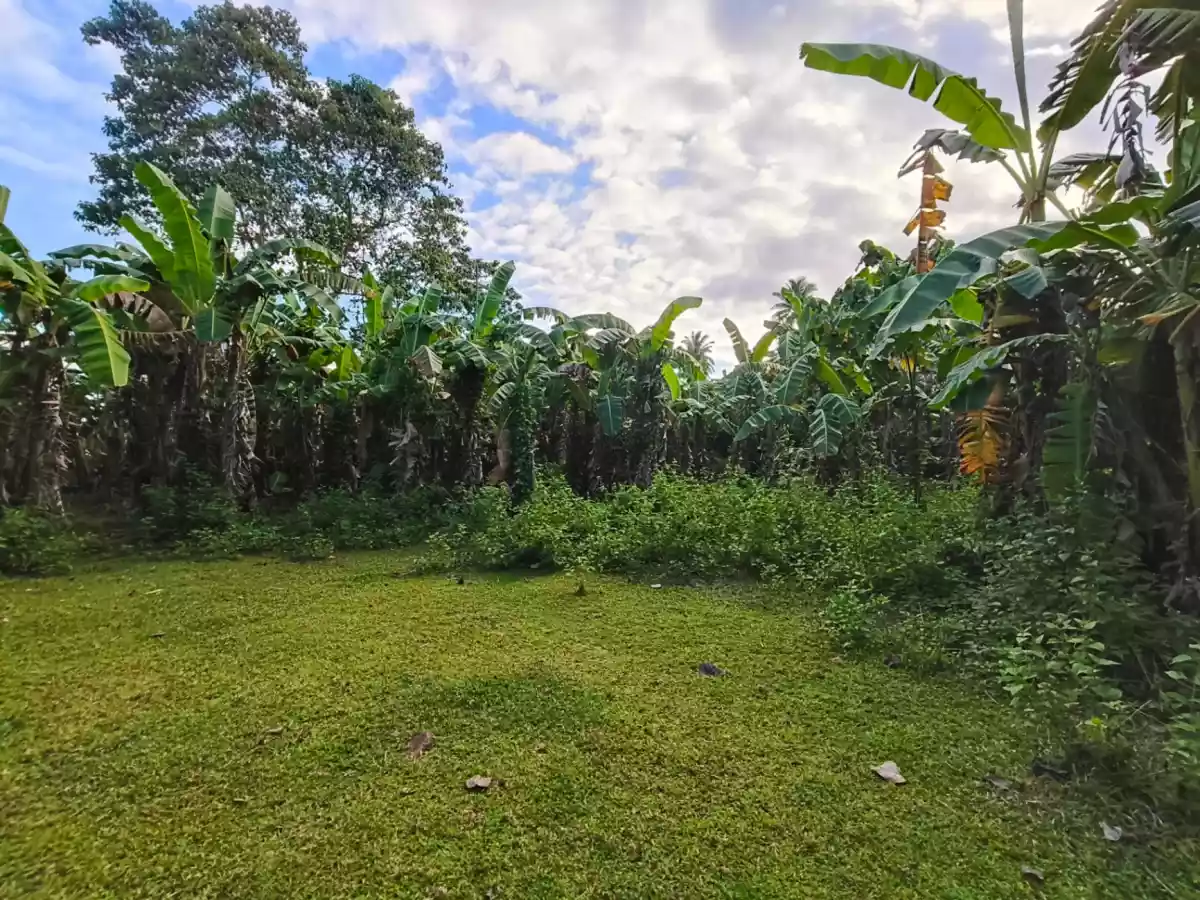 Farm Land for SALE! - photo 3