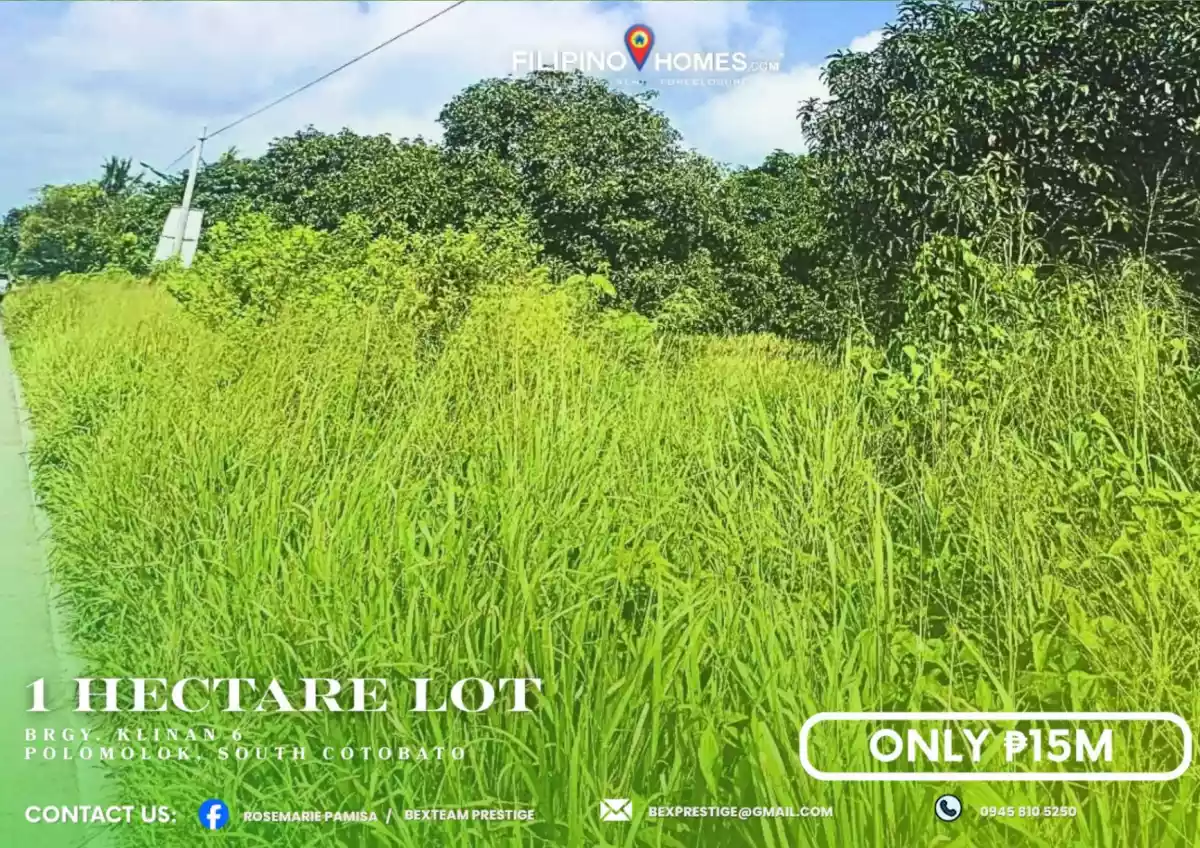 For Sale: 1 Hectare Agricultural Lot in Klinan 6, Polomolok South Cotabato - photo 3