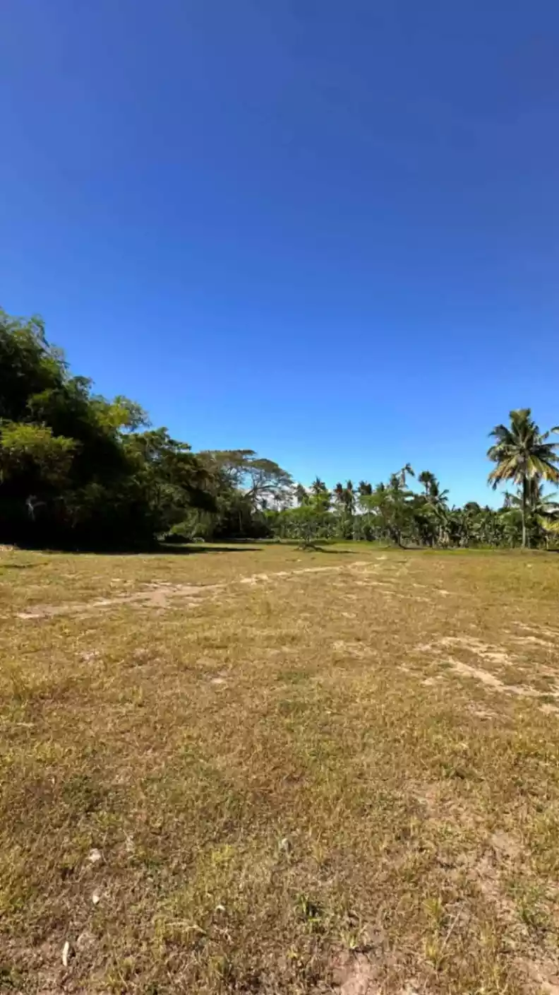 Residential Lot For Sale In Balugo, Dumaguete City - photo 4