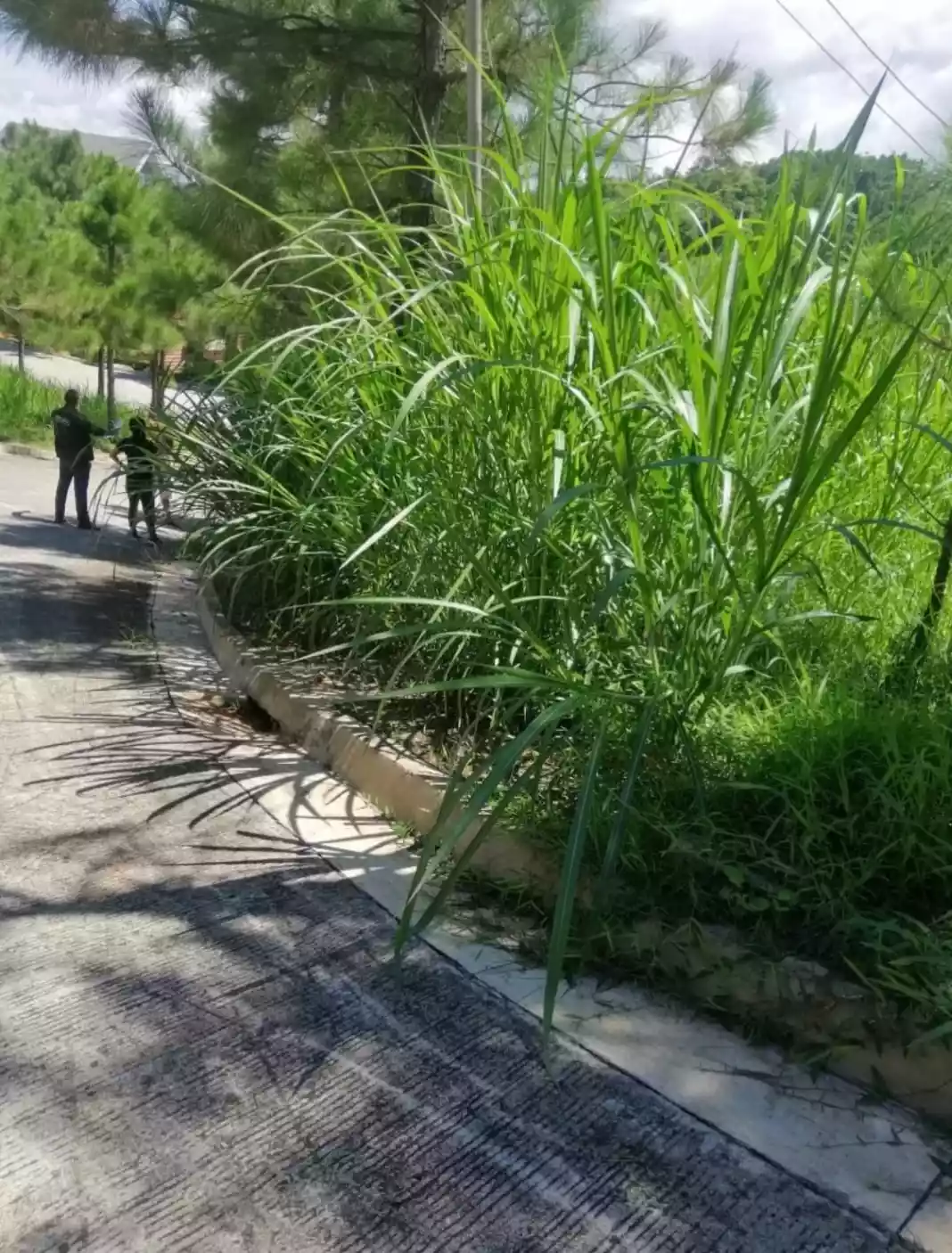 LOW PRICE PRIME CORNER RESIDENTIAL LOT INSIDE CROSSWINDS TAGAYTAY - photo 2