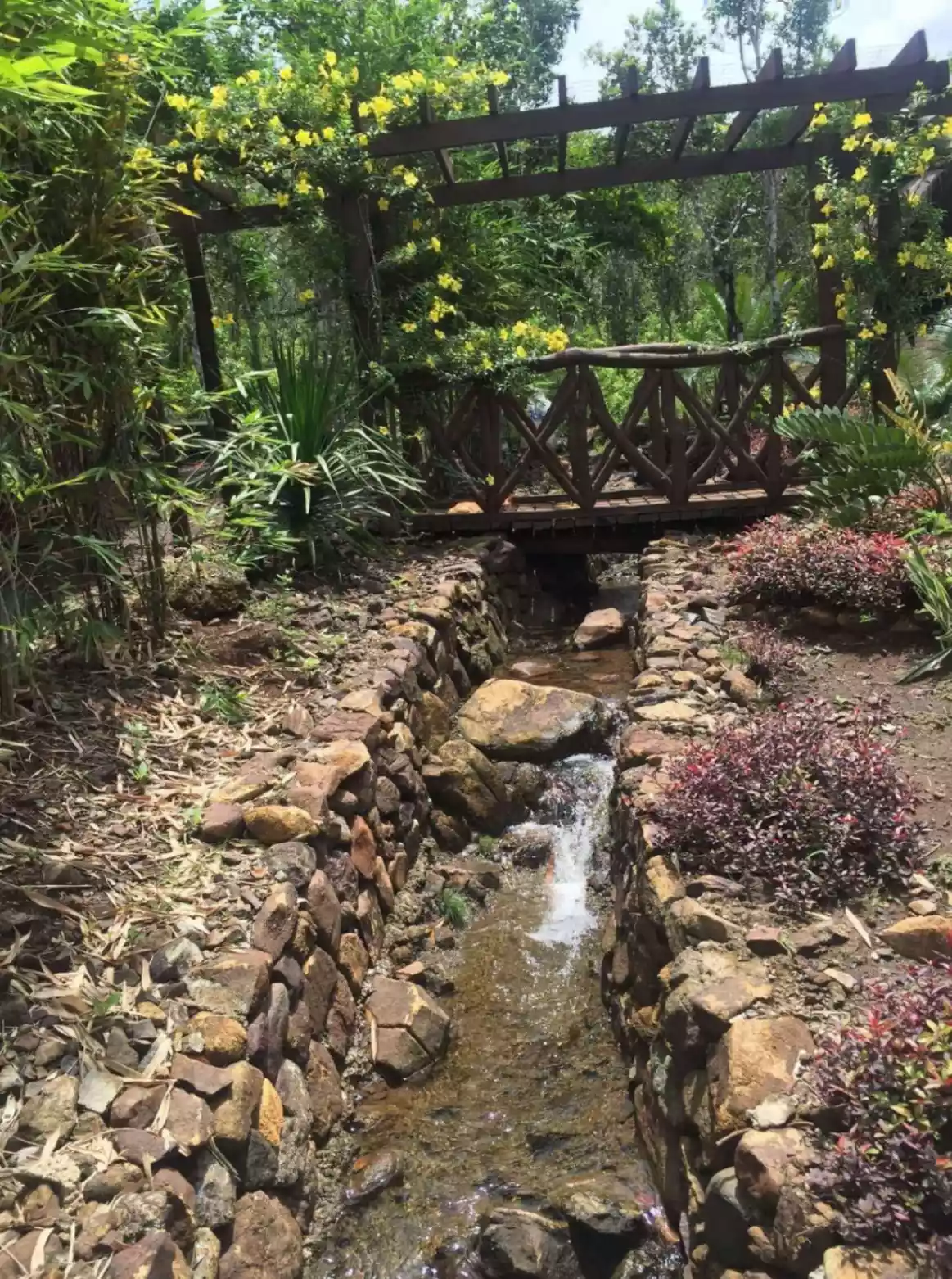PALAWAN HOUSE AND LOT NEAR THE BEACH - FOR SALE — Beach House / Resort in Puerto Princesa City, Palawan, 5300 — Photo 7