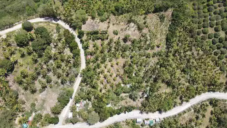 For Sale: Agricultural Lot in Bagacay, Alabel — 37292 sqm — Agricultural Lot in Alabel, Sarangani Province, Bagacay — Photo 7