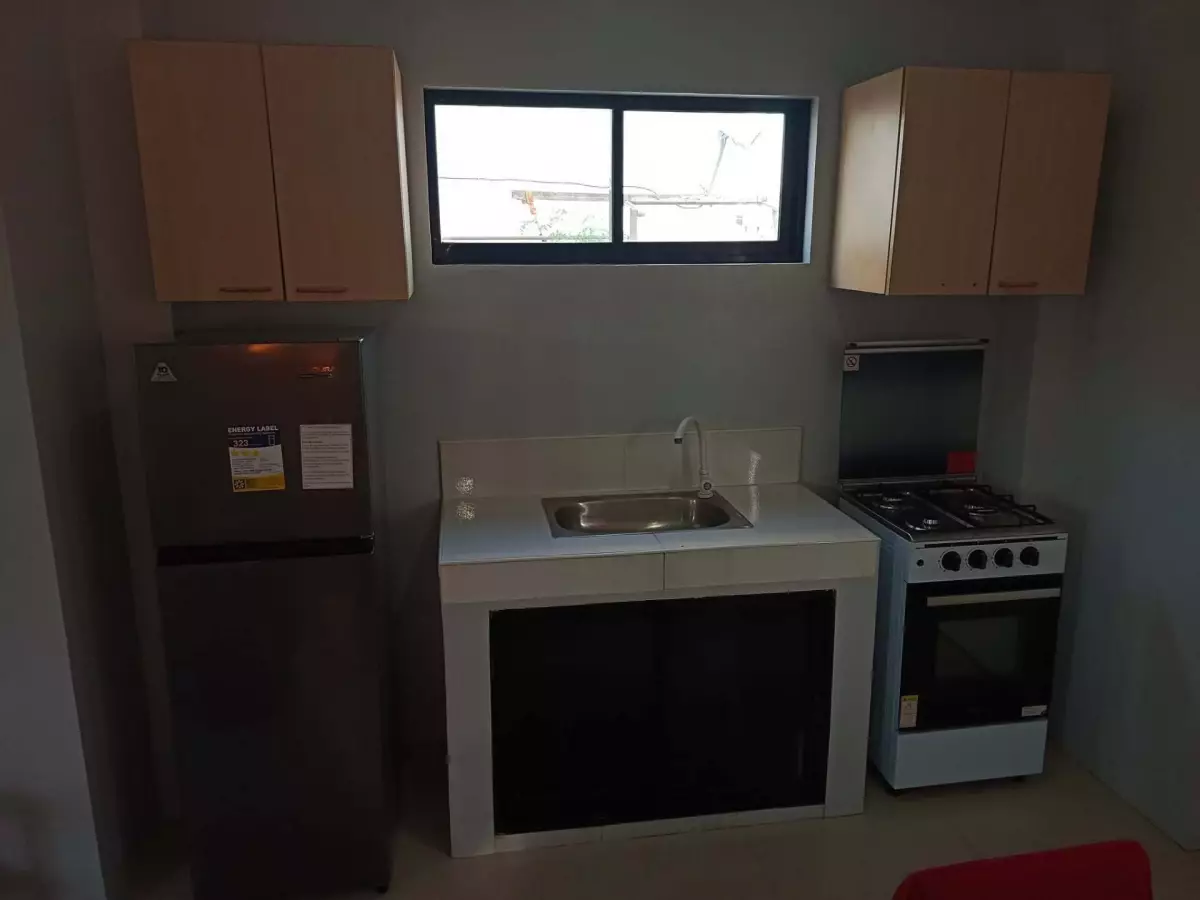 ODE 3 HOUSE & LOT FOR SALE - photo 5