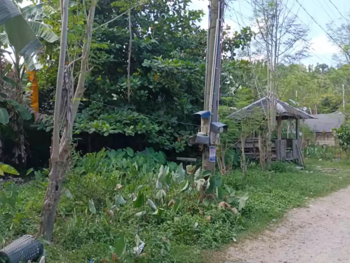 Prime Lot for Sale – Ready for Development - photo 3