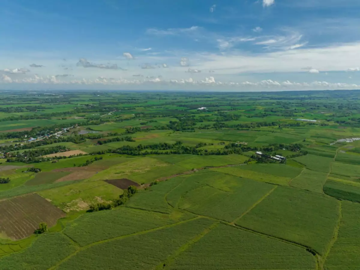 Murcia Lot Only For Sale - photo 4