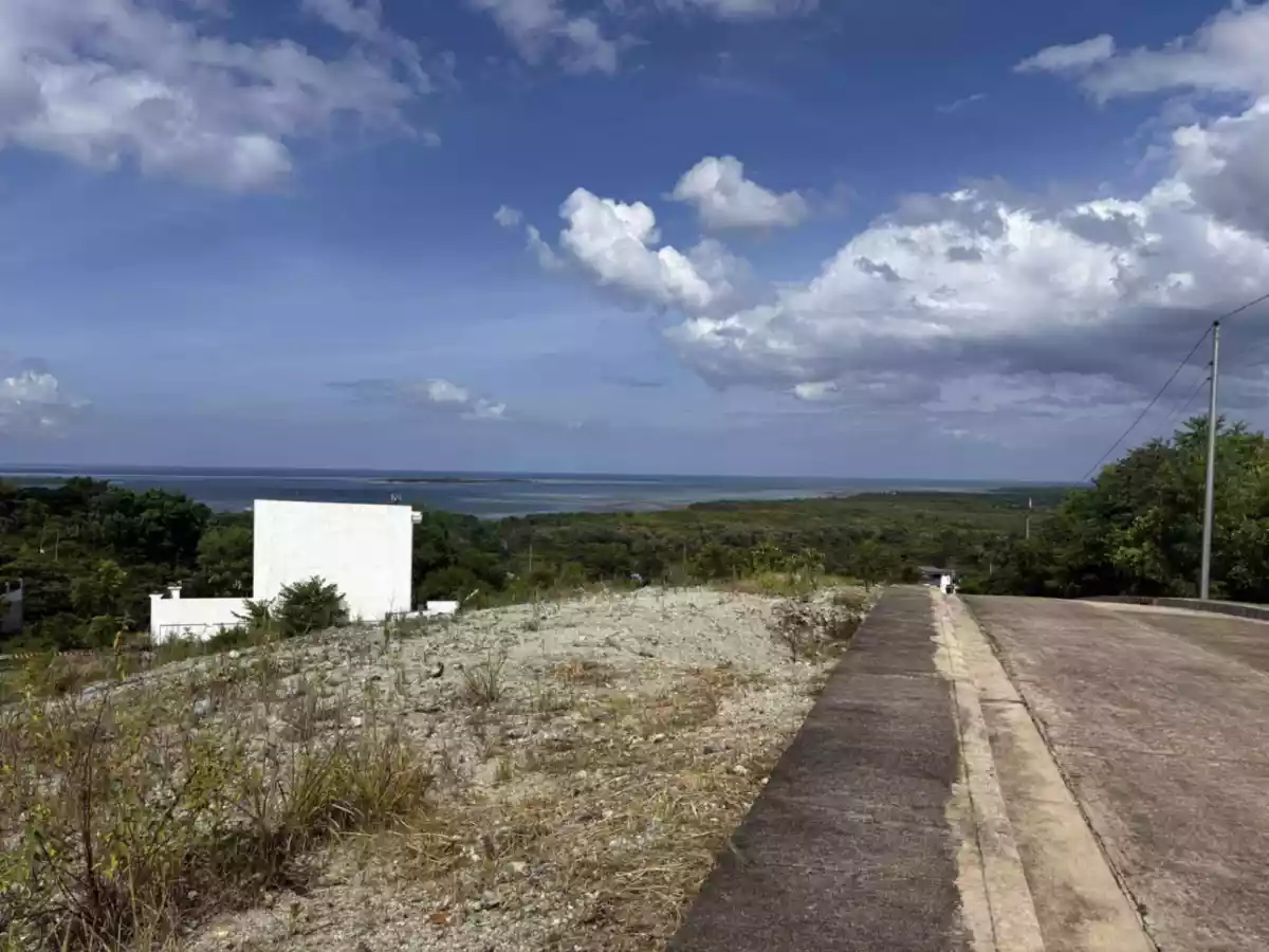 NICE LOCATION 150SQM RESIDENTIAL LOT IN PALAWAN OVERLOOKING HONDA BAY - photo 3