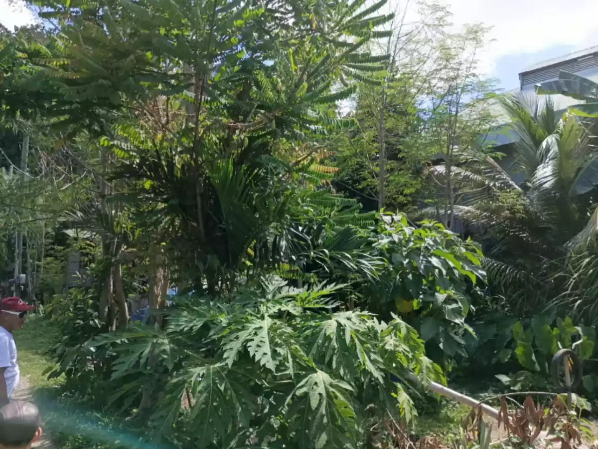 Prime Lot for Sale – Ready for Development - photo 4