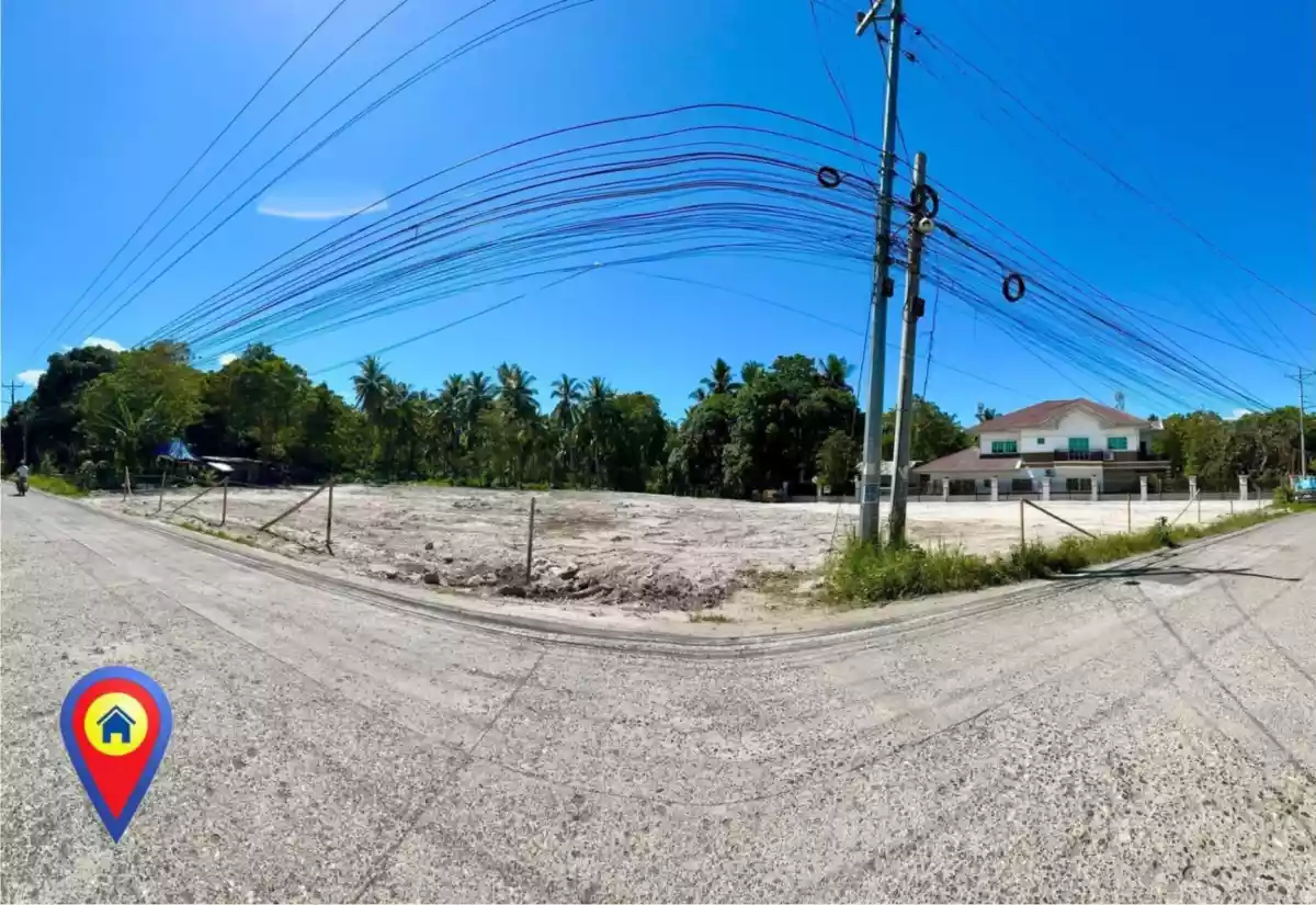 3,143 sqm Amazing Lot Property For Lease - photo 2