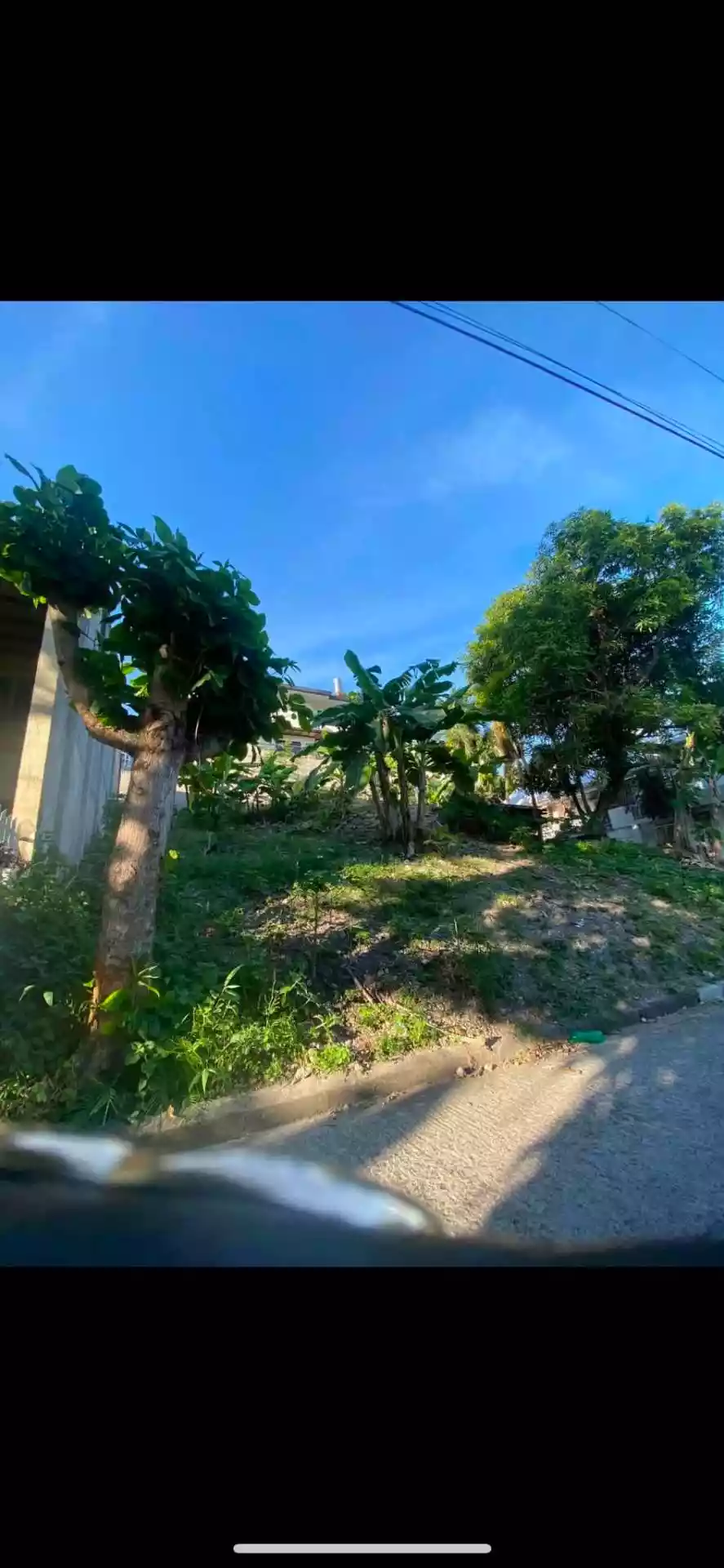 WHITE HILLS BANAWA LOT FOR SALE - photo 4