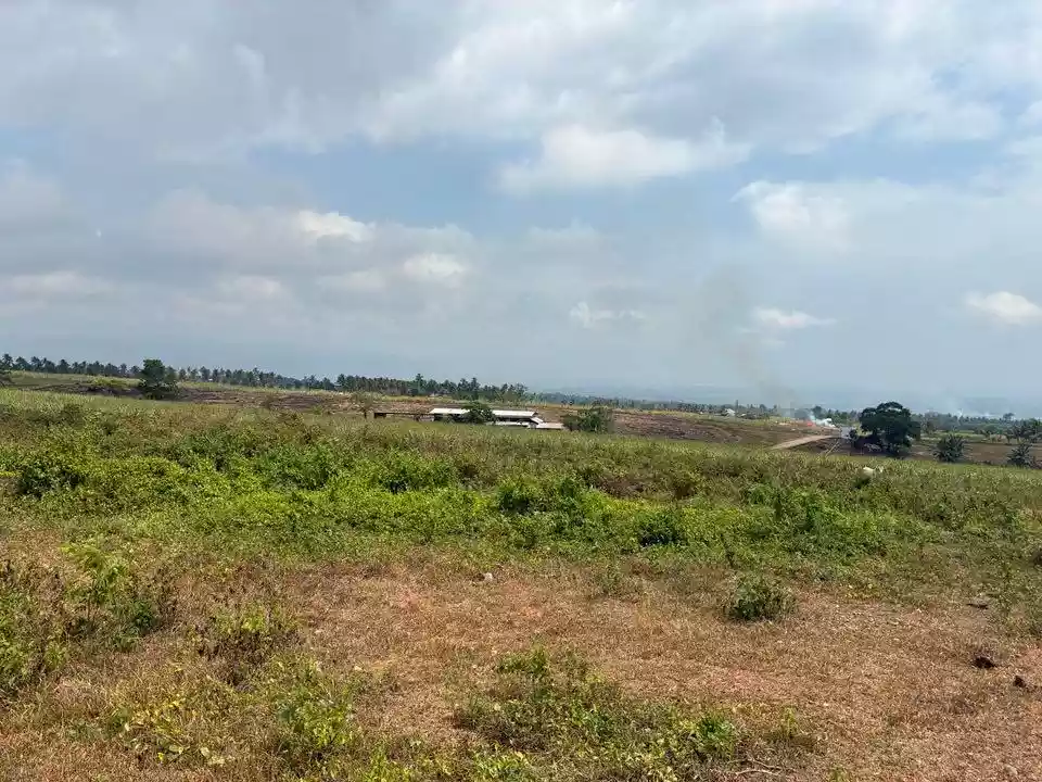 For Sale: 7,500sqm Lot in Jantianon, Amlan Negros Oriental Dumaguete – Seaview and Mountain Views - photo 5