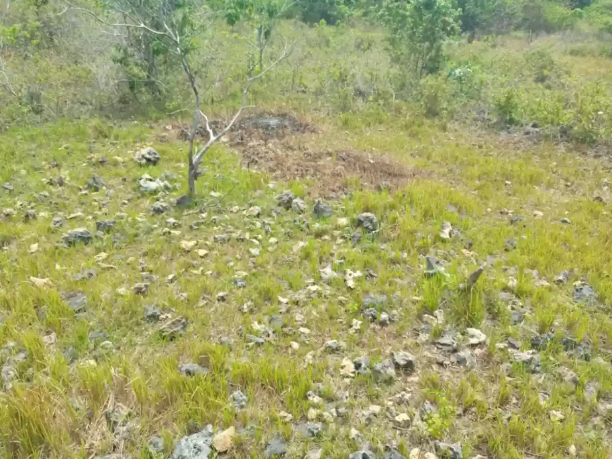 2,600 sqm inner lot for sale in Lazi, Siquijor - photo 3