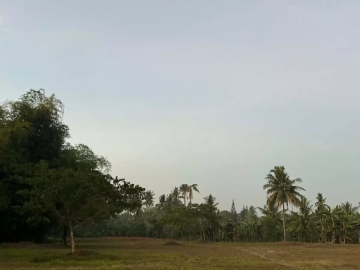 Residential Lot For Sale In Balugo, Dumaguete City - photo 6