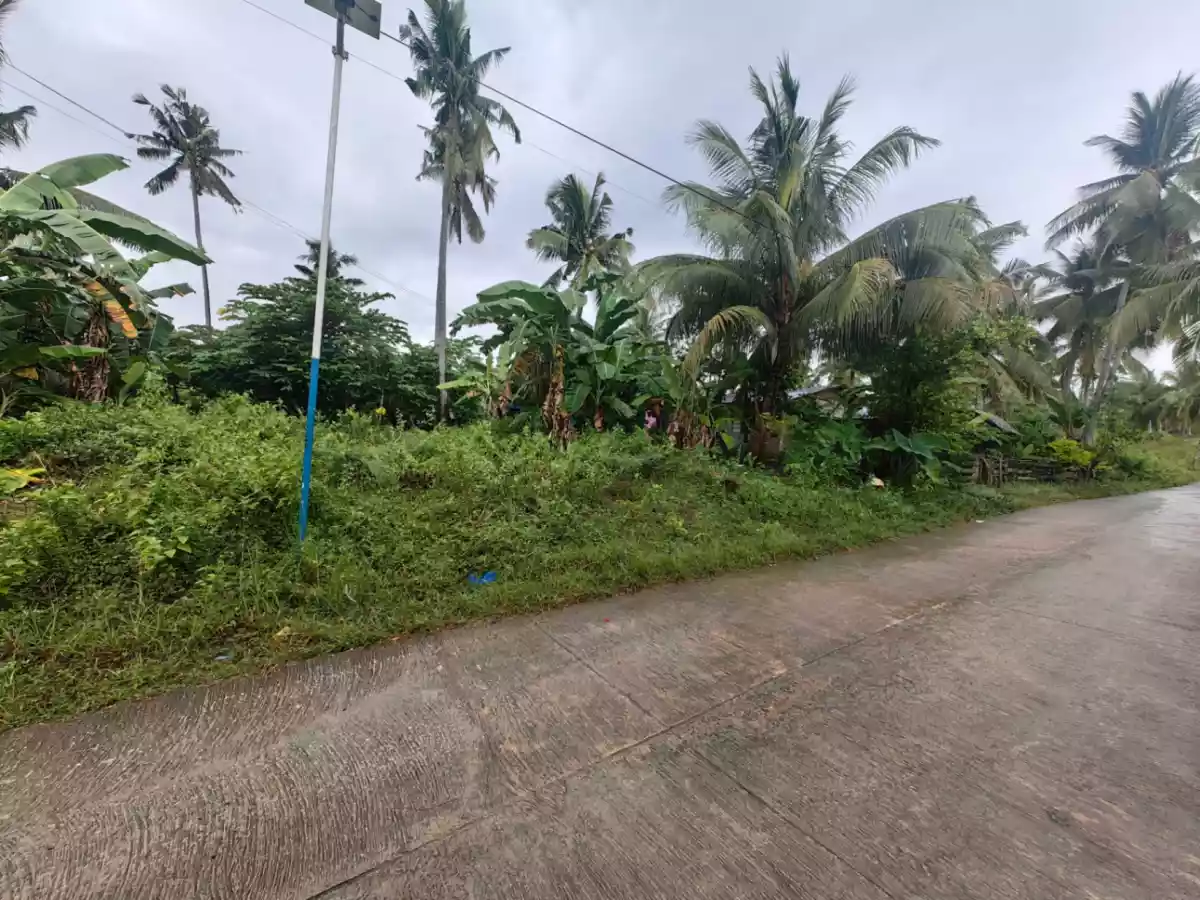 1,768 SQM FLAT TERRAIN LOT FOR SALE SAIN DALAGUETE CEBU - photo 2