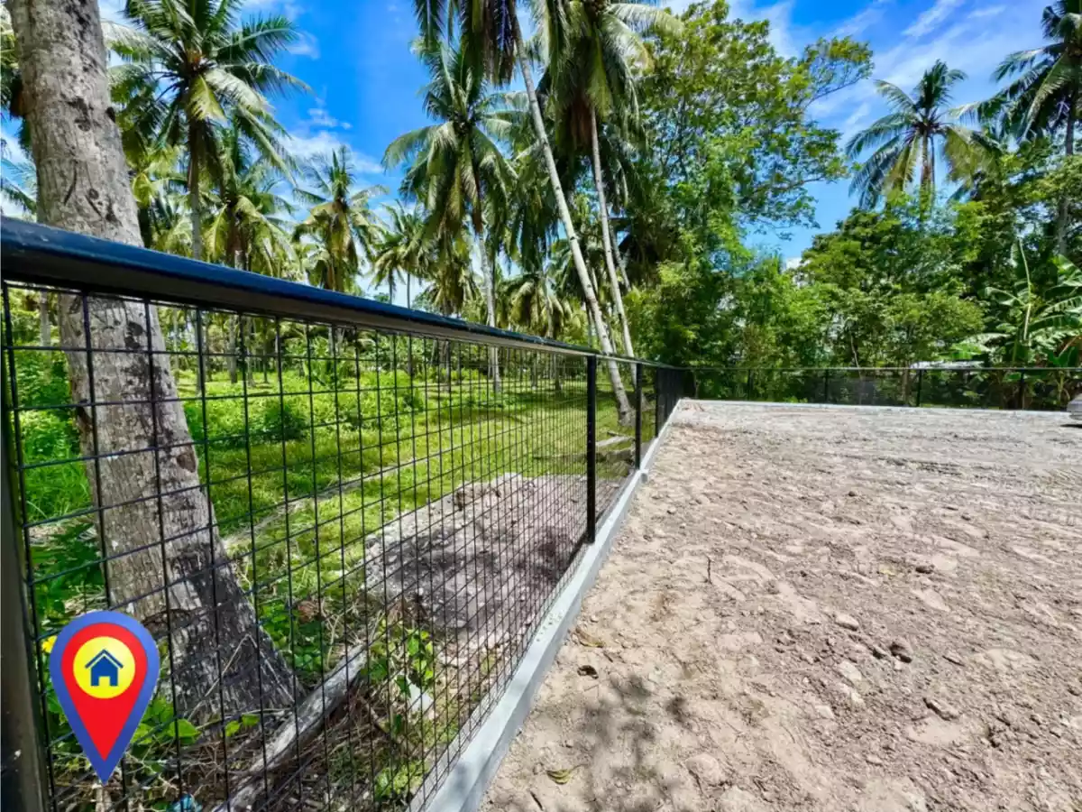3,143 sqm Amazing Lot Property For Lease - photo 6
