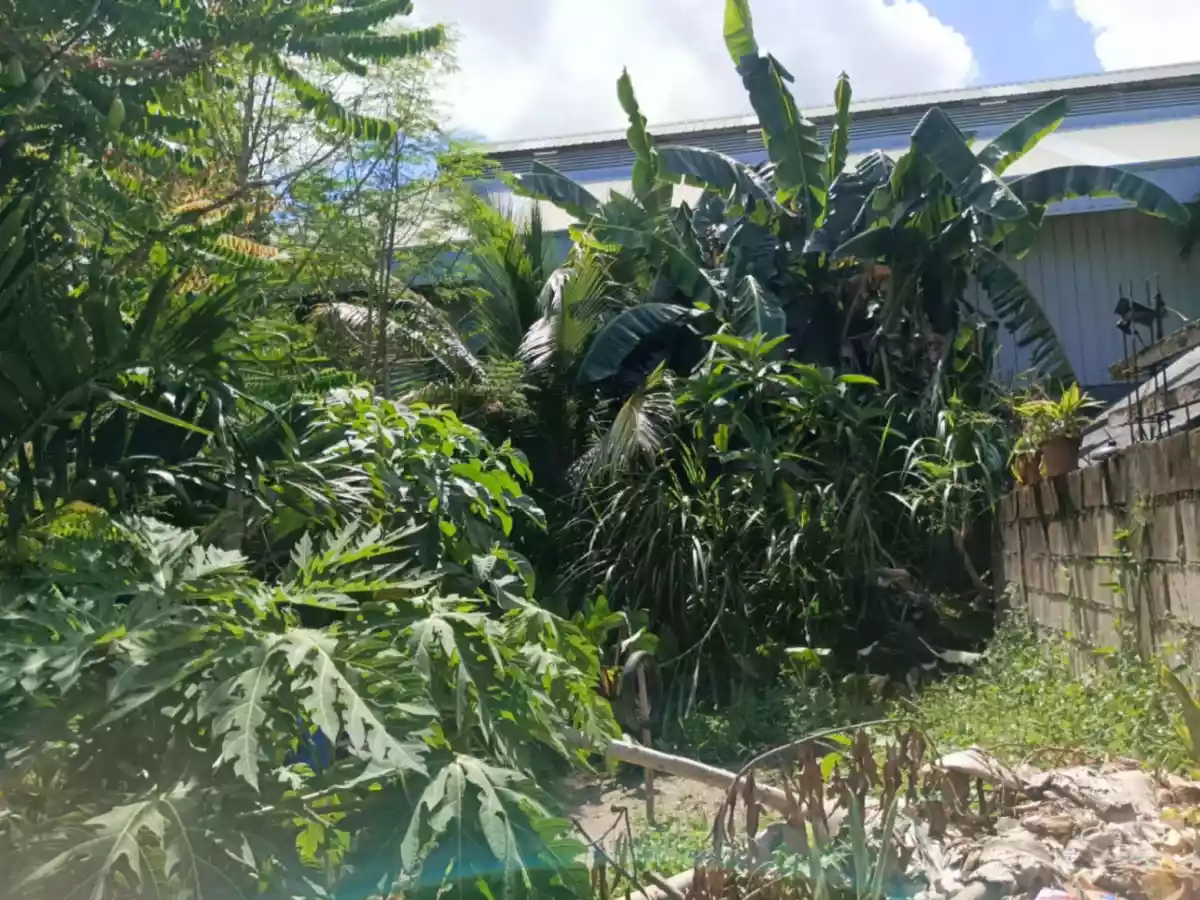 Prime Lot for Sale – Ready for Development - photo 5