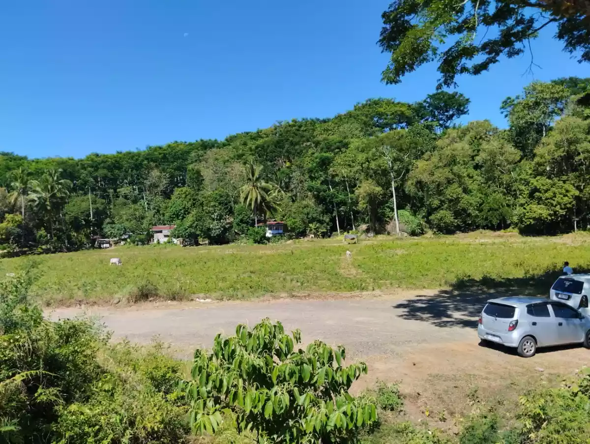 For Sale: Agricultural Lot in Linabo, Malaybalay City — 10000 sqm — Agricultural Lot in Malaybalay, Bukidnon, 8700 — Photo 3