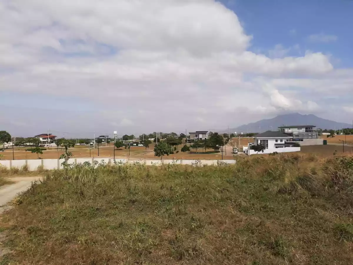 NICE LOCATION 150SQM RESIDENTIAL LOT IN PALAWAN OVERLOOKING HONDA BAY - photo 4