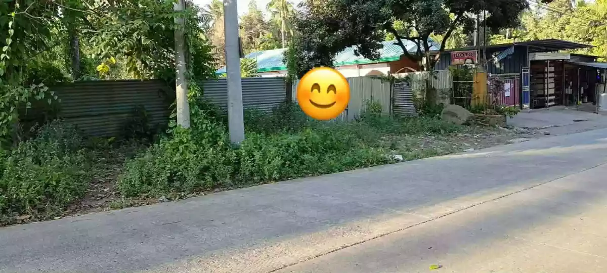 For Sale: Prime Farm Lot in Tagakpan, Davao City – Concrete Fence, Road Frontage