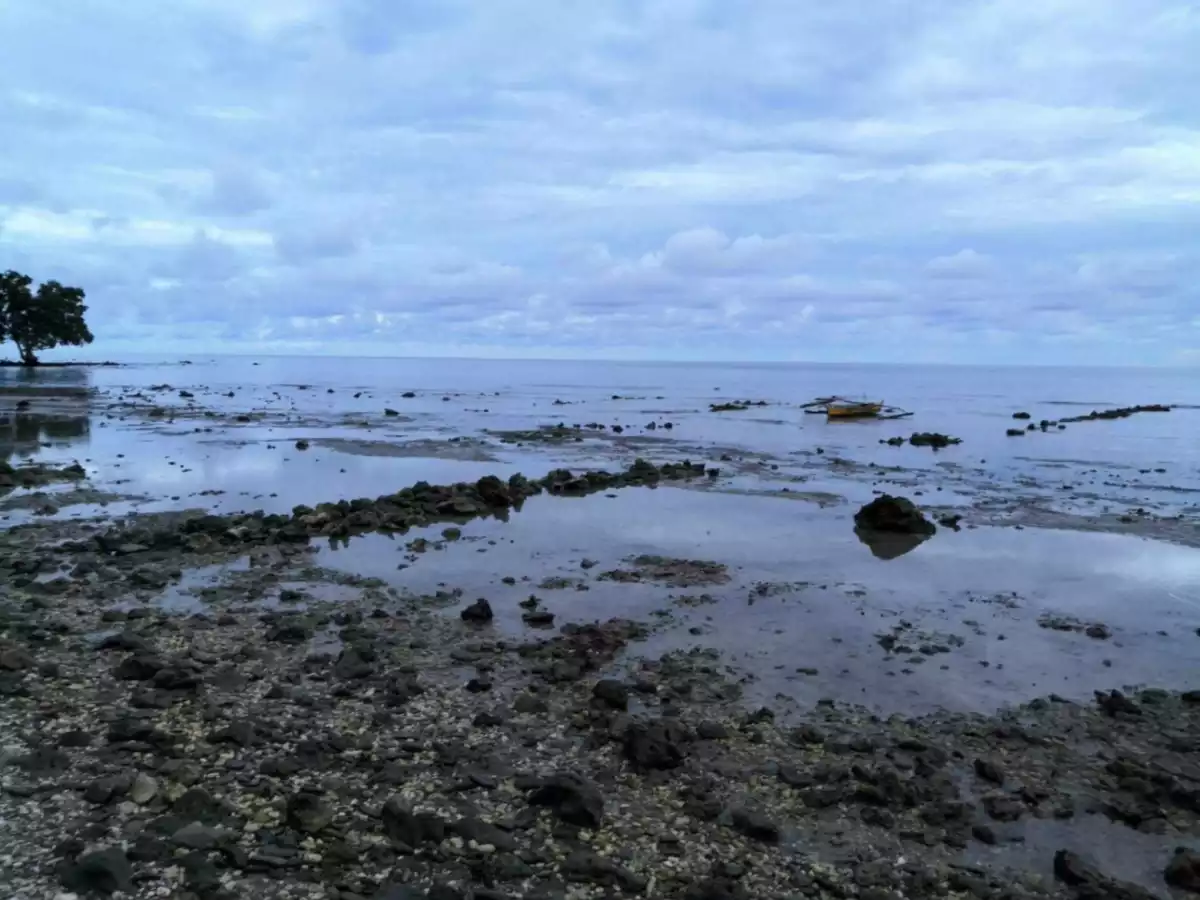 Prime Beachfront Lot Along National Highway for SALE